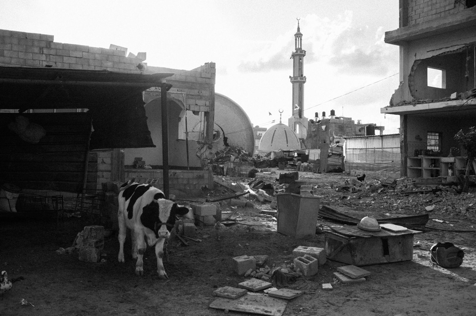 © Jost Franko - A rubbled farm and demolished mosque are seen in Khuza'a, Khan Younis, southern Gaza, Palestine, on Nov. 3rd 2014.