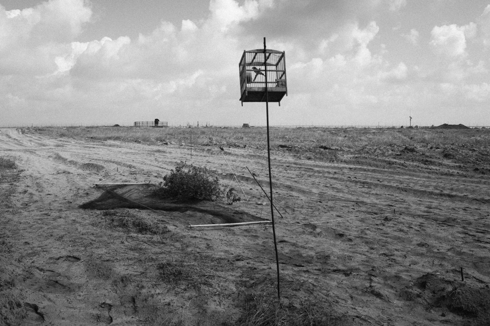 © Jost Franko - Image from the Farming in Gaza - Aftermath of war photography project