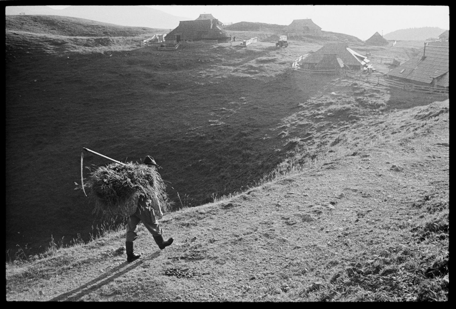 © Jost Franko - Shepherd is walking back towards the settlement after mowing the pasture.