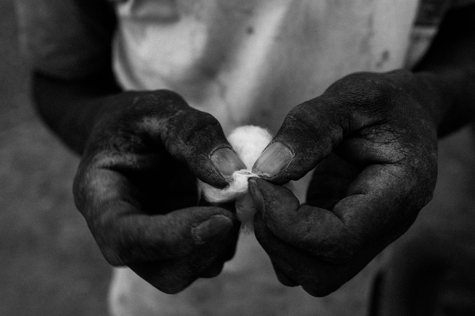 © Jost Franko - A farmer extracts the seed out of the cotton crop, in Boromo, Burkina Faso, on November 28th 2015.