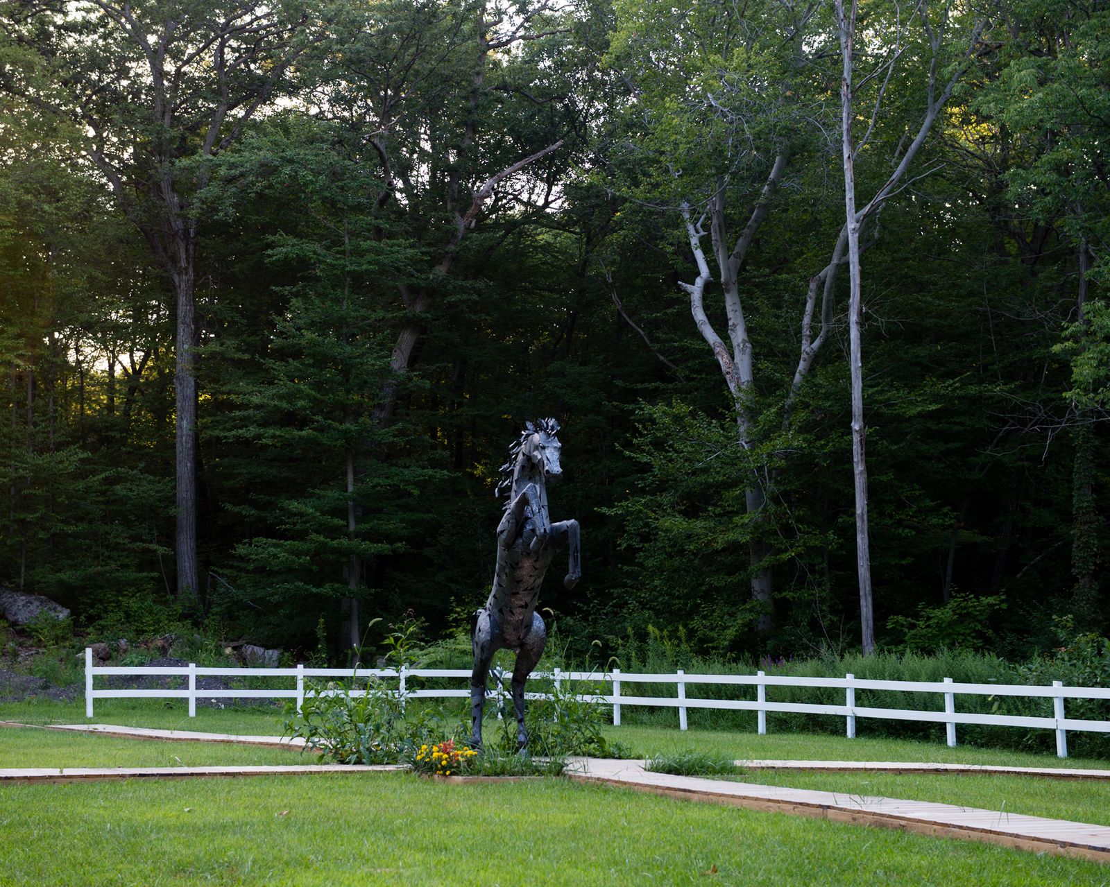© Martin Toft - Black Horse, Stag Hill Road, Houvenkopf Mountain, Mahwah, New Jersey, United States, 25 August 2014