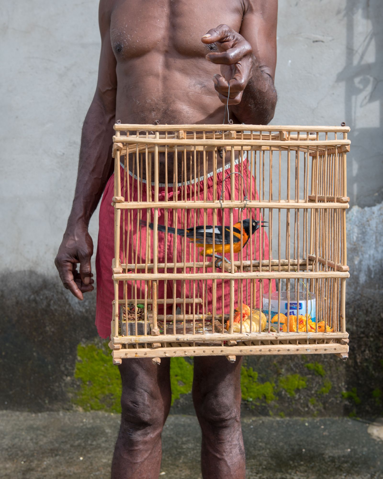 © Martin Toft - Man and Bird in Cage. Rio de Janeiro, Brazil