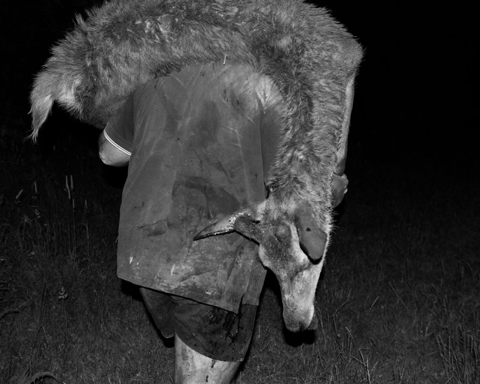 © Martin Toft - Hunting #1. Kapi Topine hunting for deer at night in the steep hills and forests surrounding the Whanganui River.