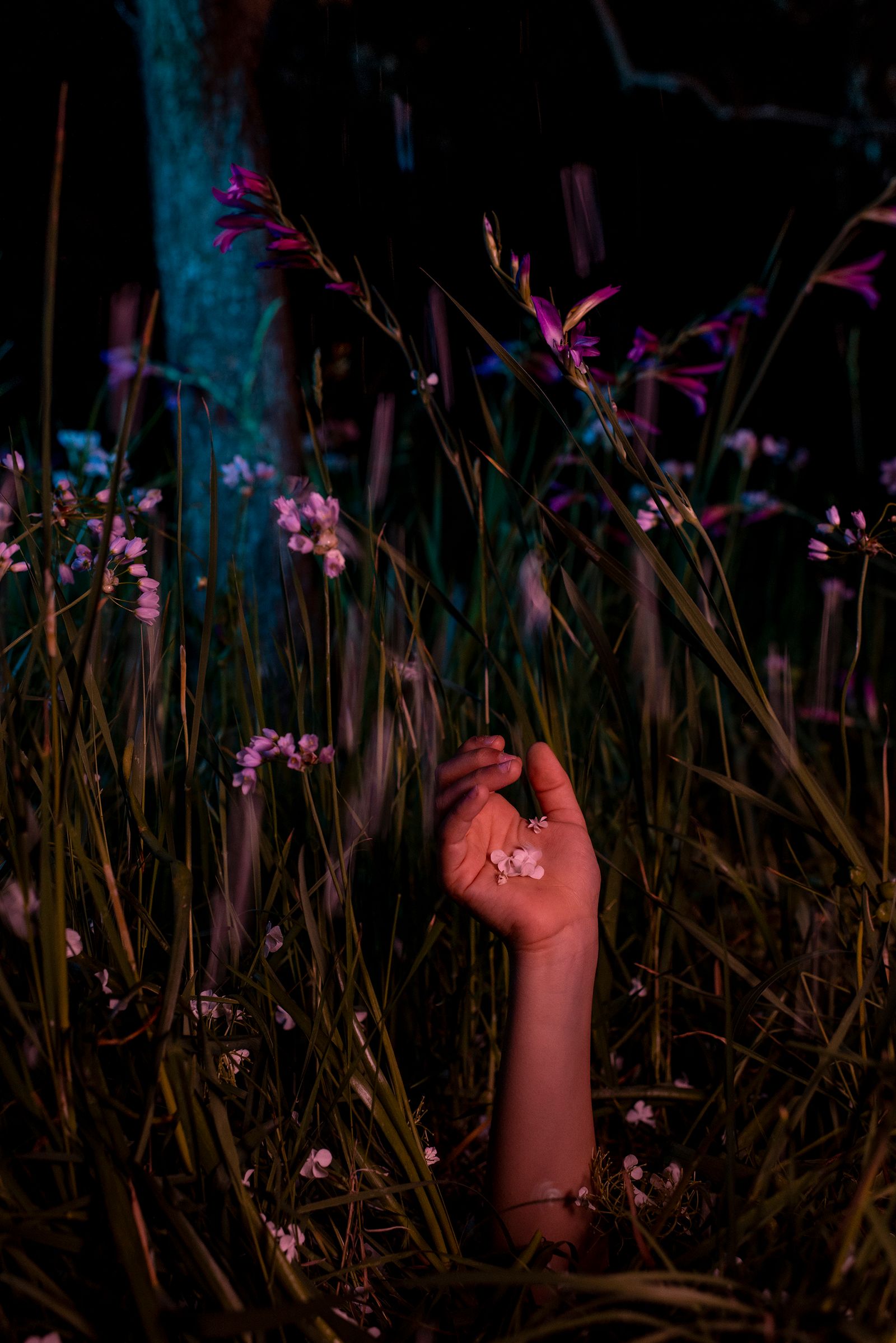 © Elisabetta Zavoli - "Flower"