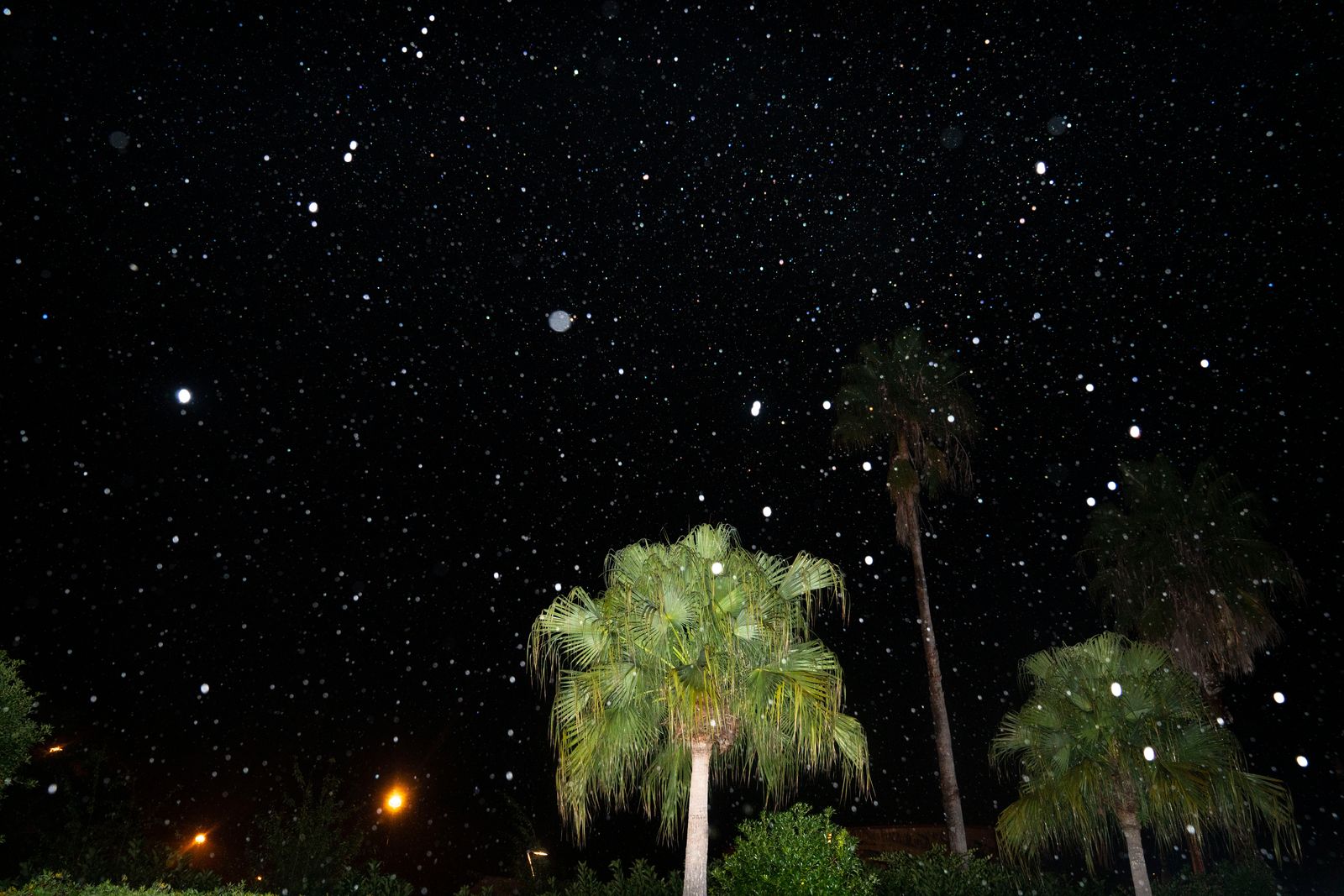 © Mackenzie Calle - Kennedy Space Center just before the launch of SpaceX Crew-3, November 10, 2021.