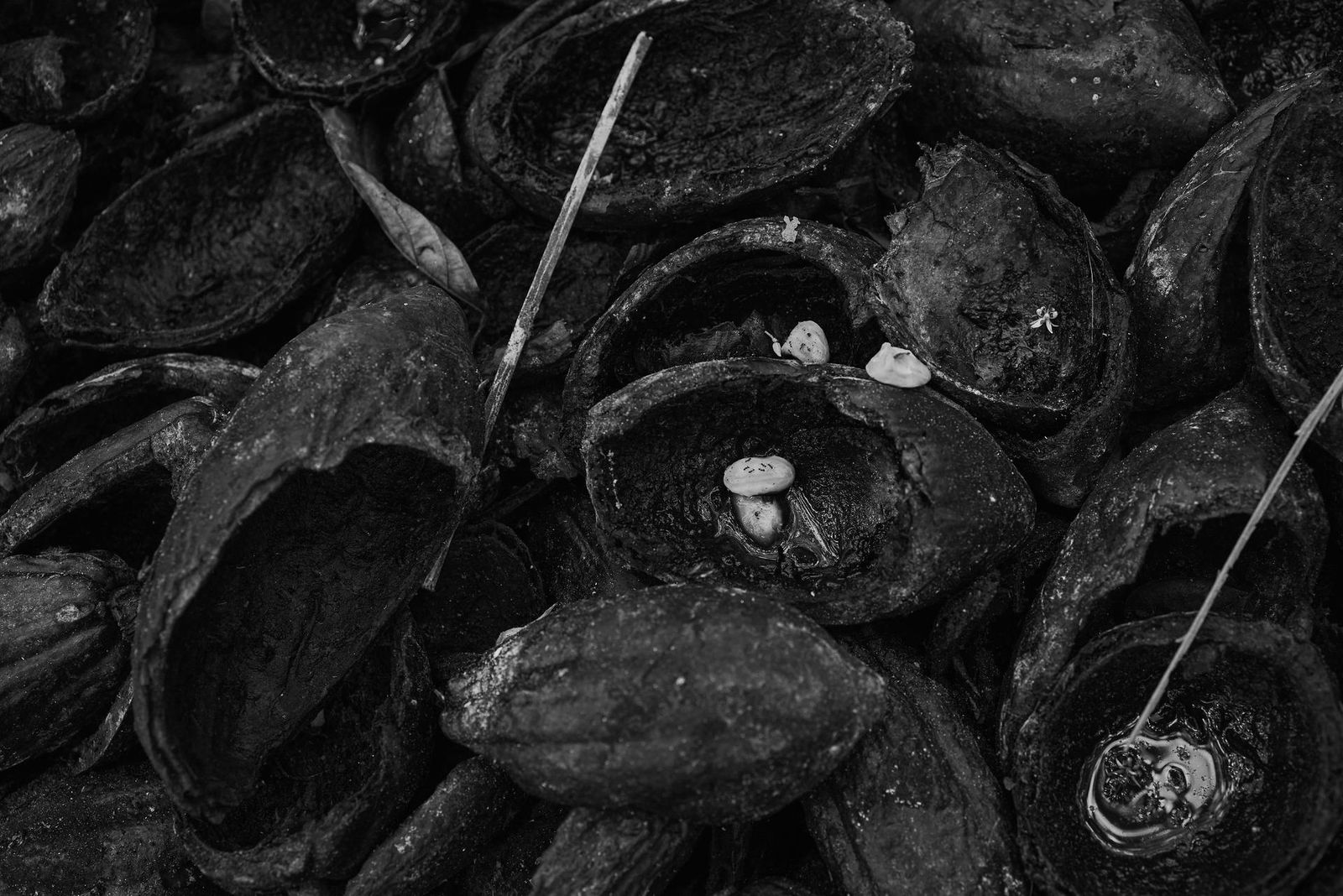 © Olivier Khouadiani - Image from the Golikro photography project