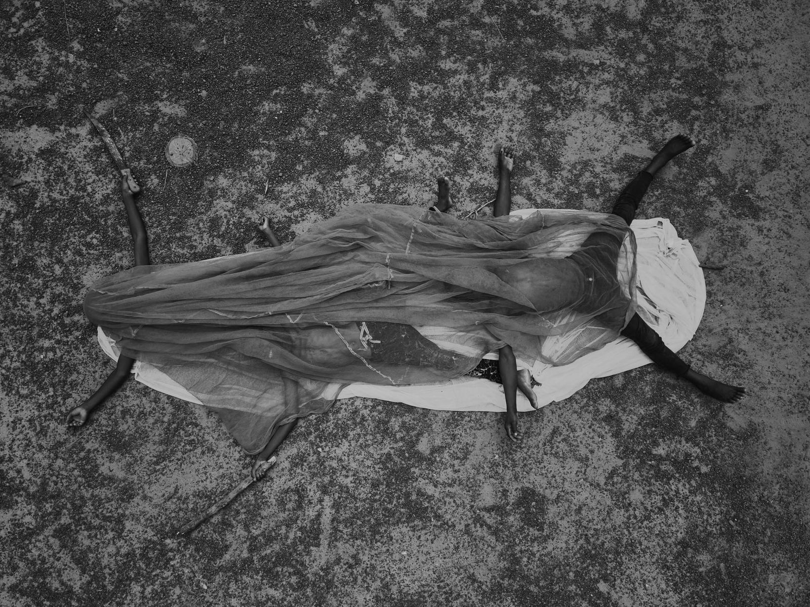 © Olivier Khouadiani - The warrior caterpillar, a version of the Neo Goli, who is a warrior ready to do anything to defend the community.