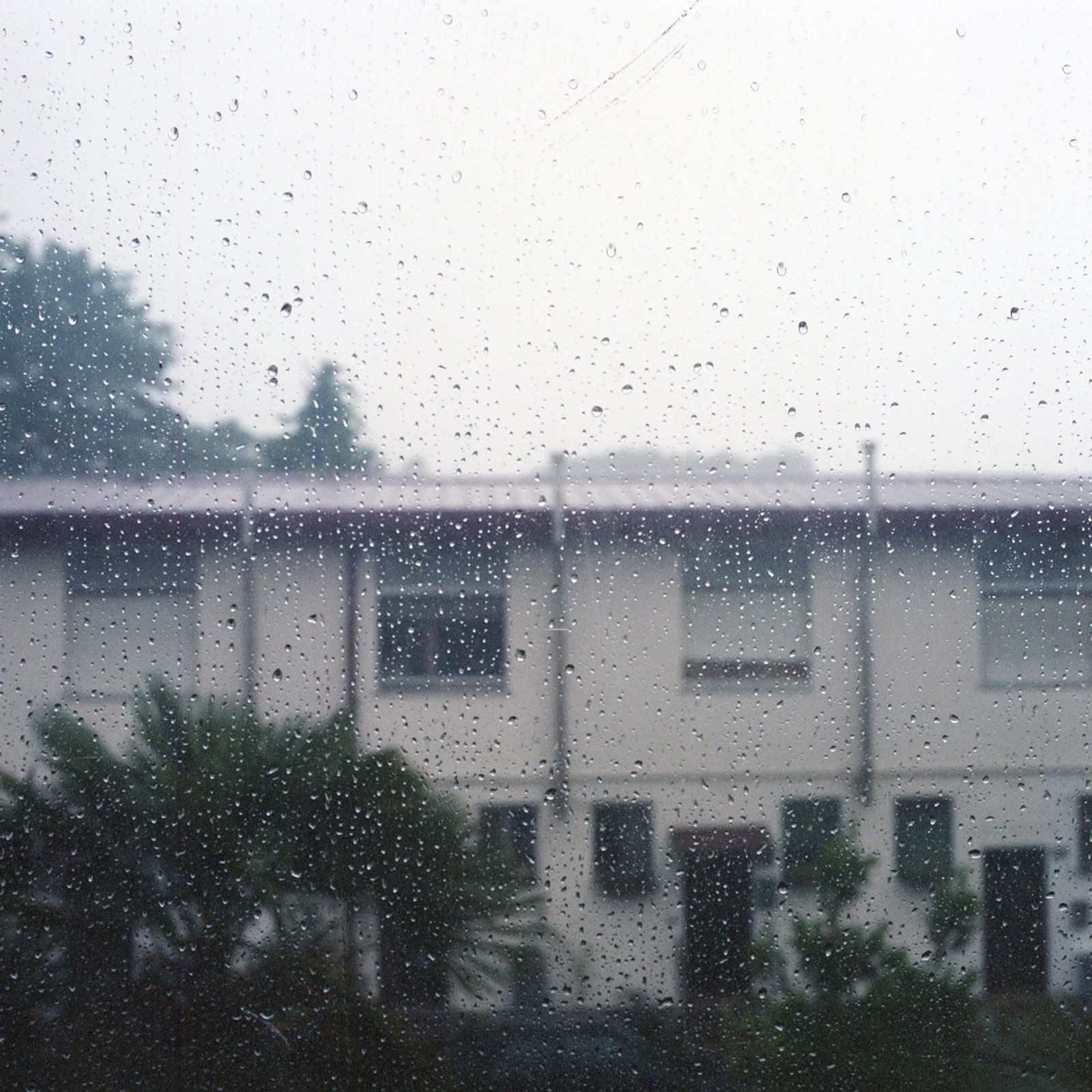 © Chiara Fossati - Rainy day at Villaggio dei Fiori
