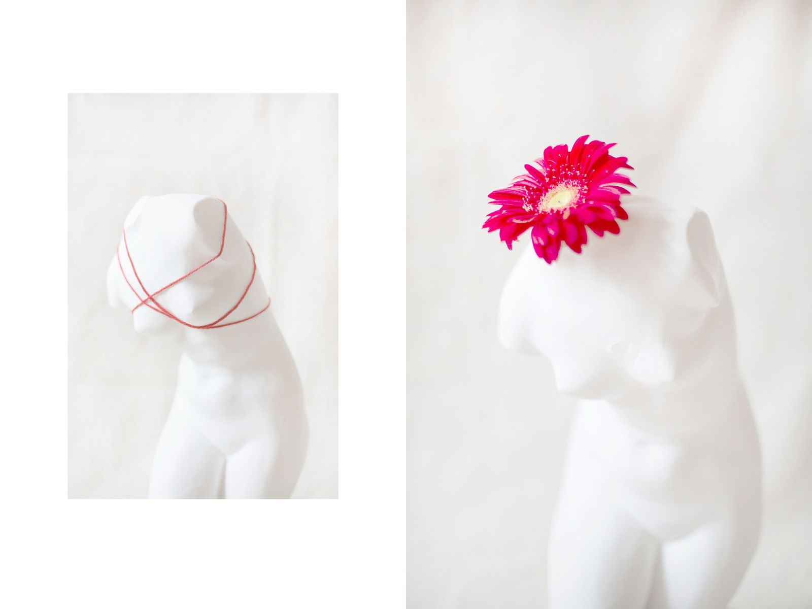 © Sergei Stroitelev - Torso with red threads and a flower which Anya saw in her dreams. She believes it means her rebirth.