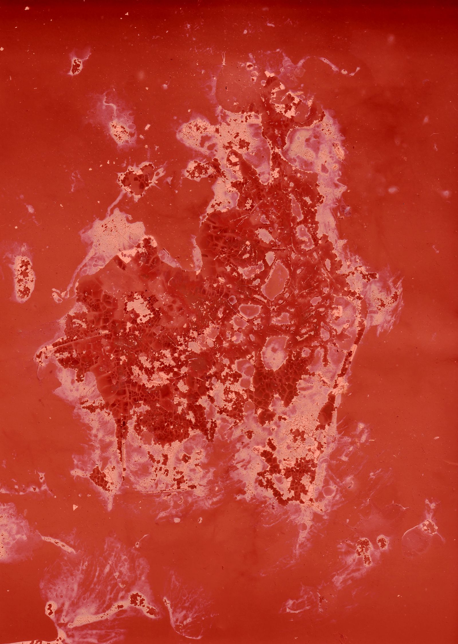 © Cecilia Sordi Campos - Image from the the motherhood that wasn't photography project