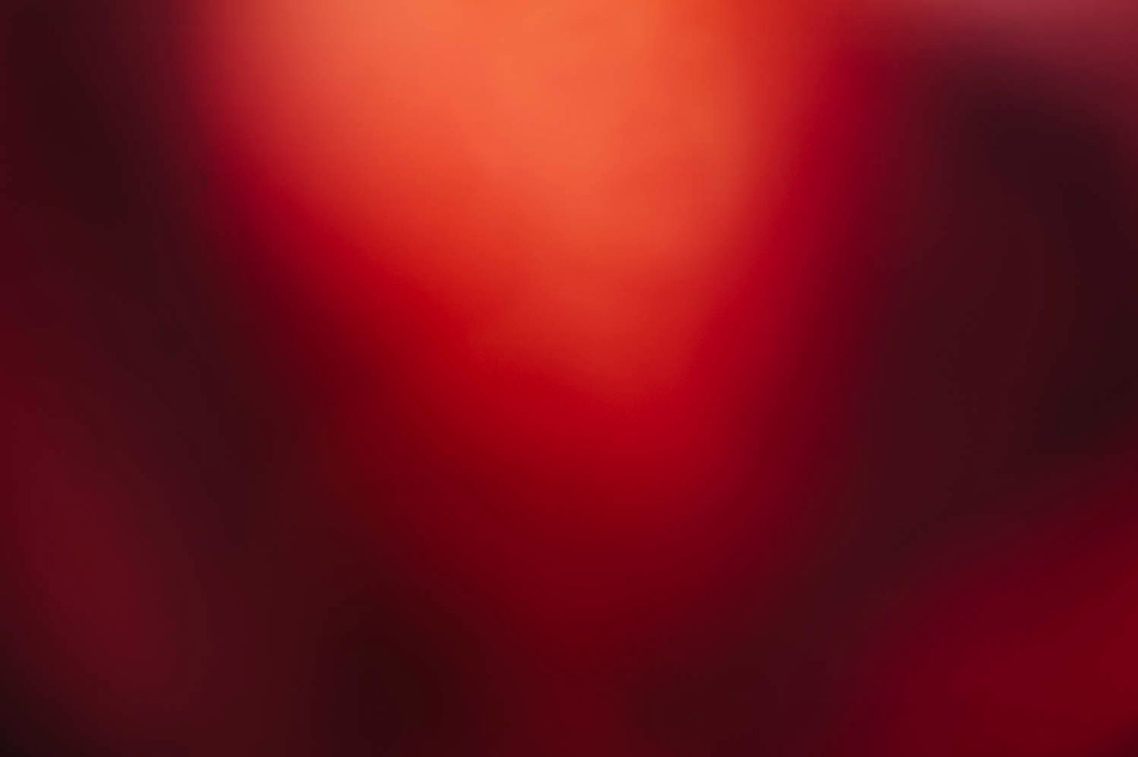 © Cecilia Sordi Campos - não-fecundação#1