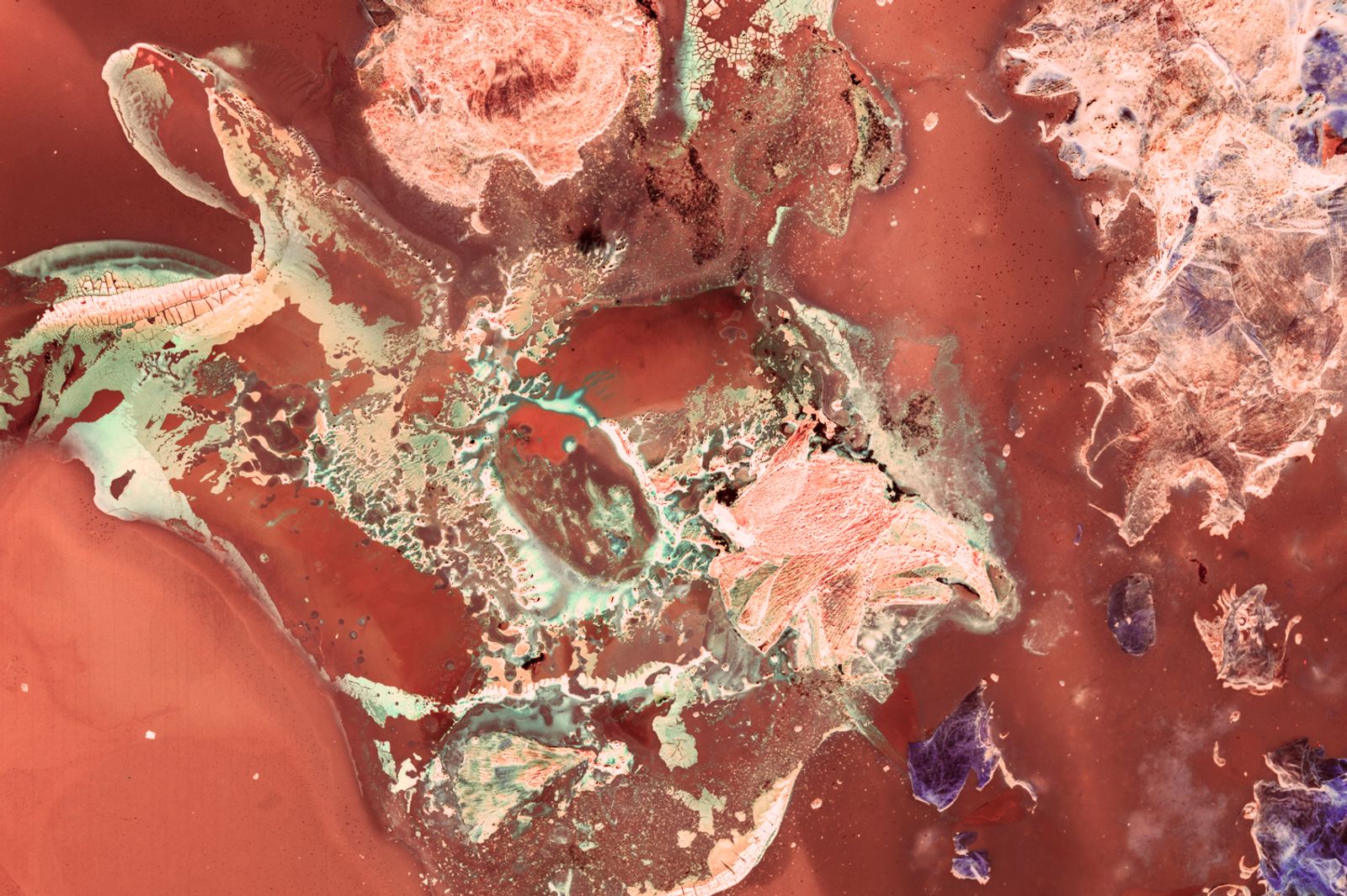 © Cecilia Sordi Campos - Image from the the motherhood that wasn't photography project