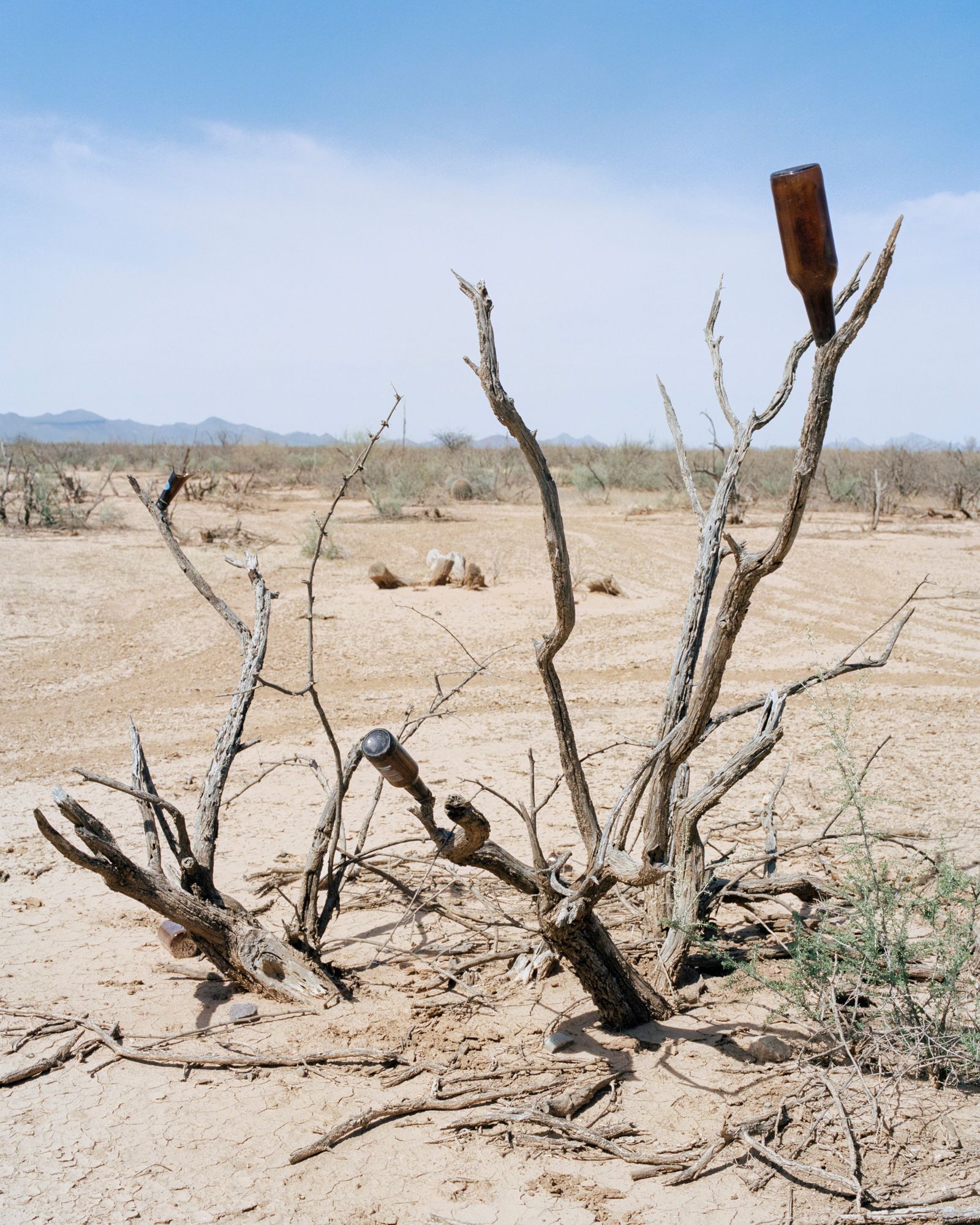 © Jordan Putt - South Kinney Rd, 2018