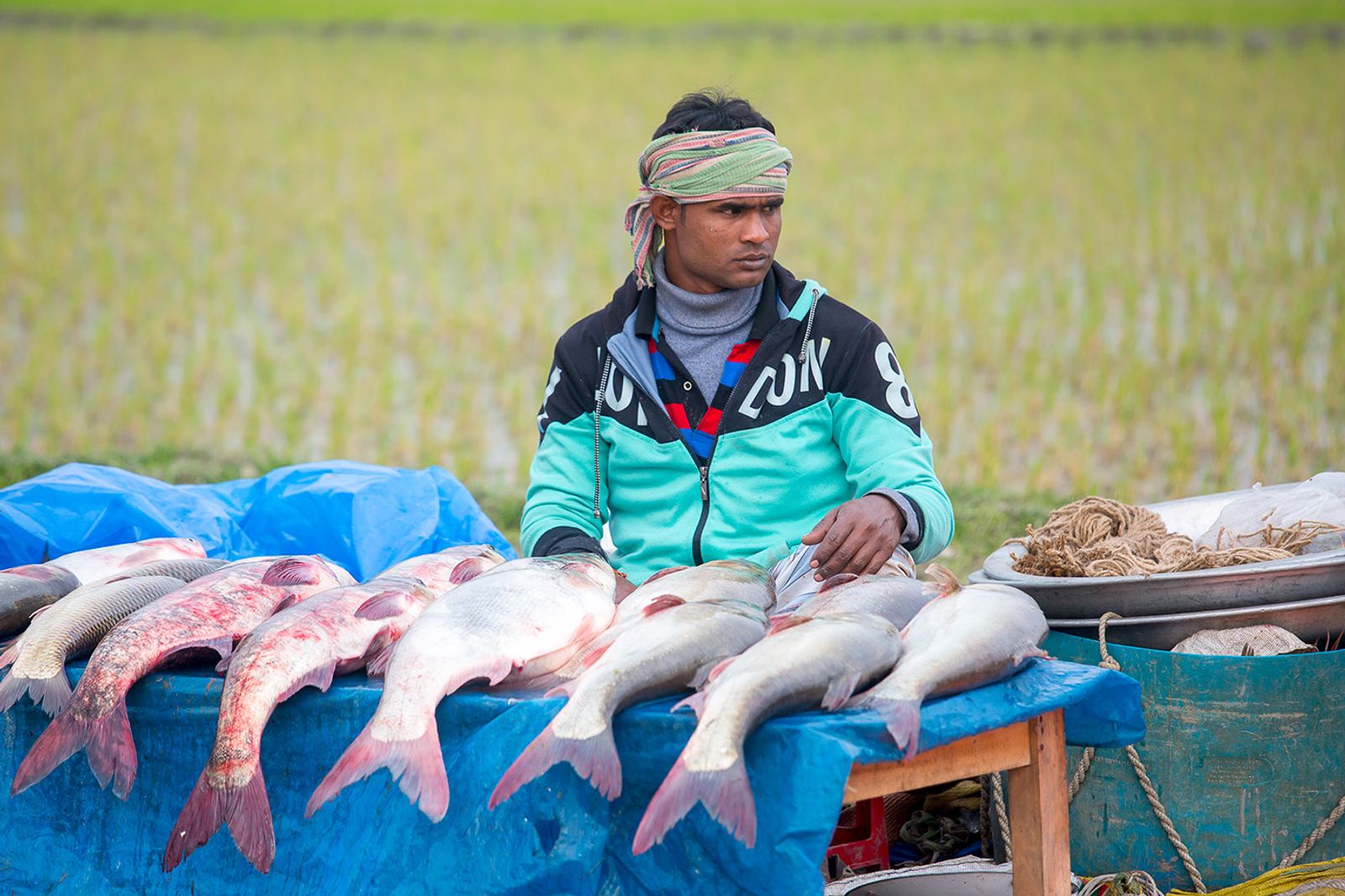 © Jahangir Alam Onuchcha - A fish stall at Poradaha Mela in Gabtali upazila of Bogra district in Bangladesh.