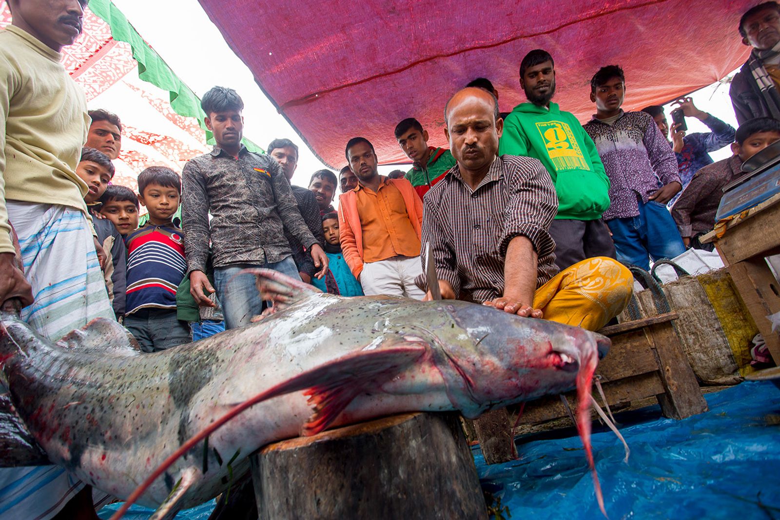 © Jahangir Alam Onuchcha - Image from the Largest fish fair in Southern Asia. photography project