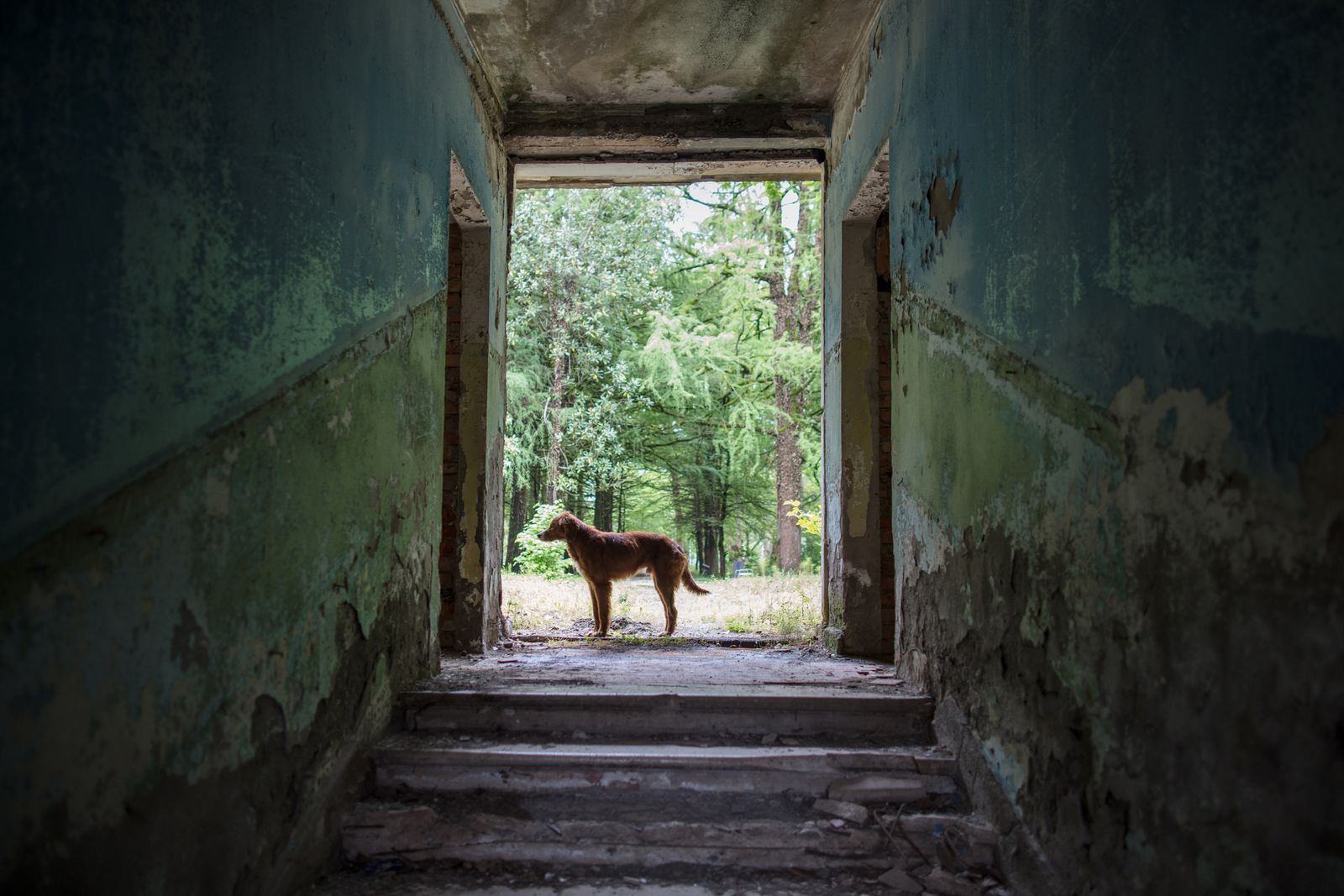 © Ryan Koopmans - Tskaltubo, Georgia by Ryan Koopmans