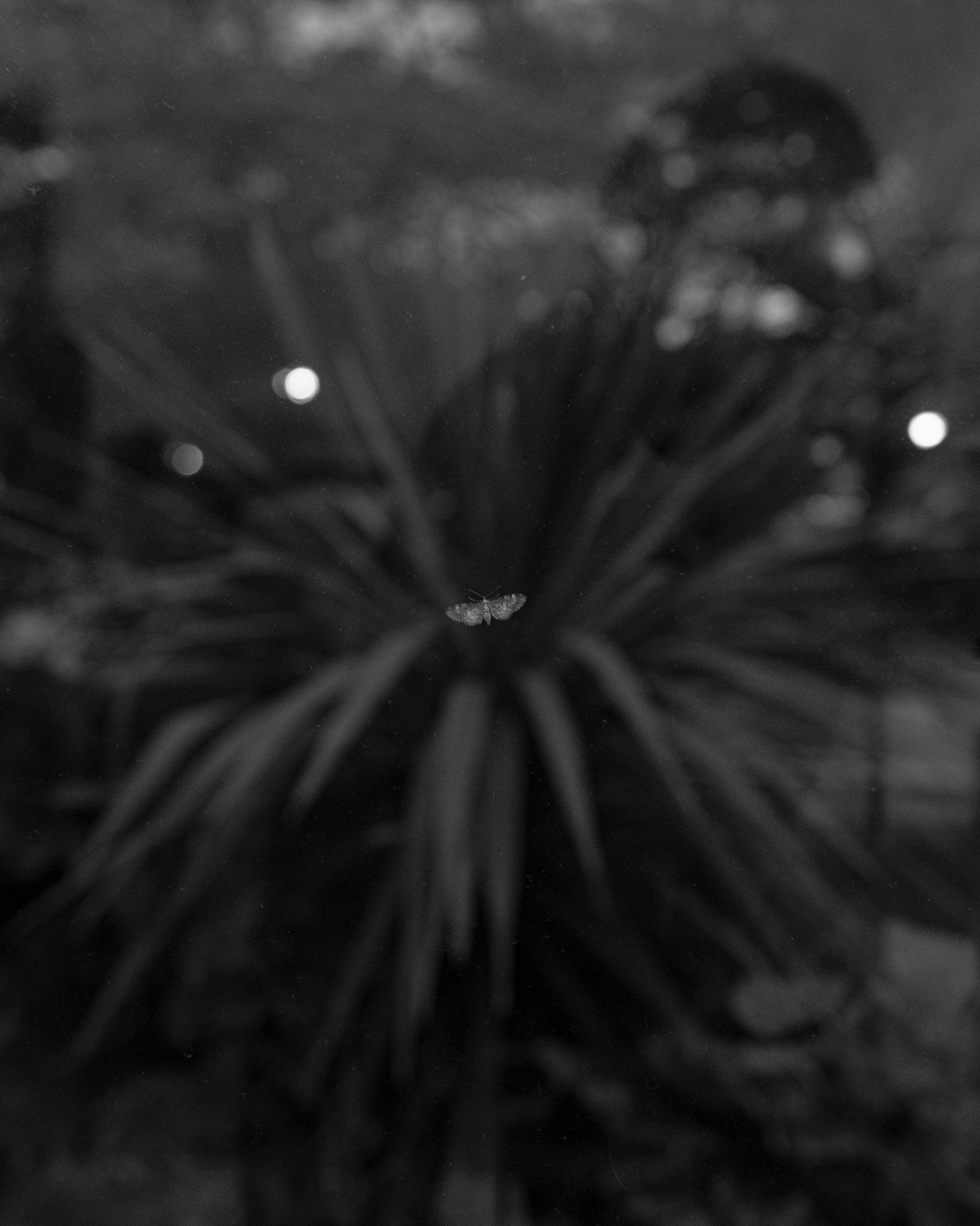© Maria Siorba - Image from the Blank Verse photography project