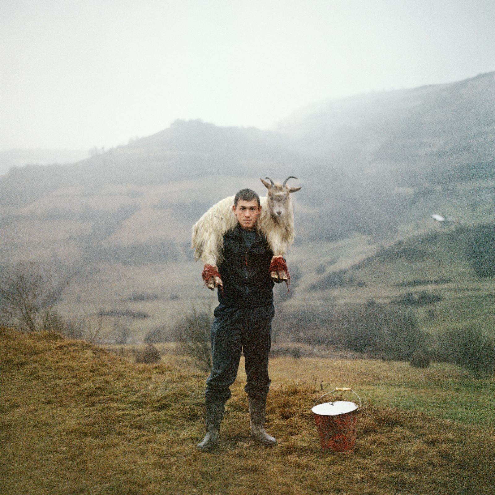 © Laura Pannack - he offering ,they got used to each other bit by bit
