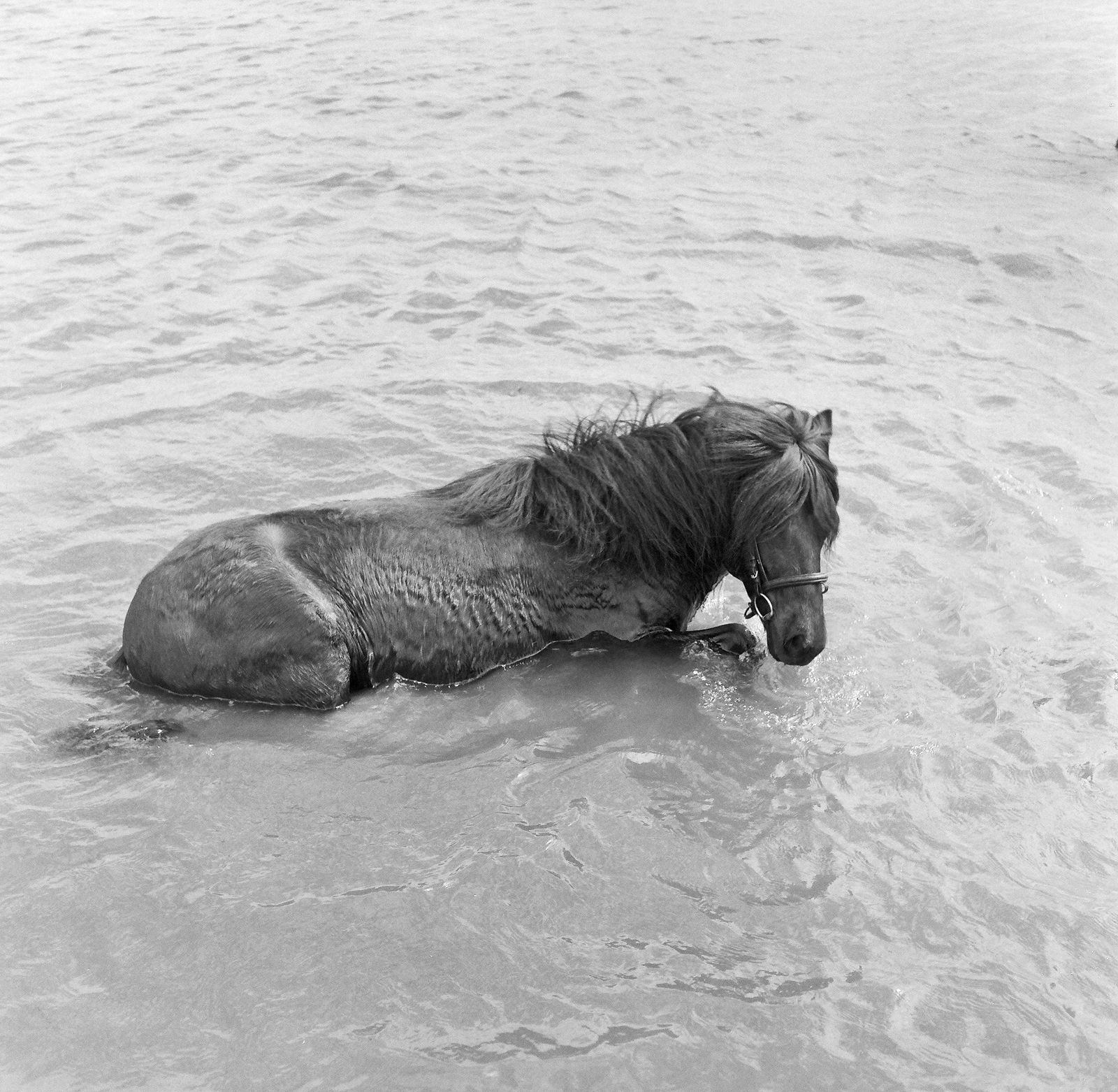 © Laura Pannack - Image from the Chapter 2- Tales from The Dübener Heide photography project