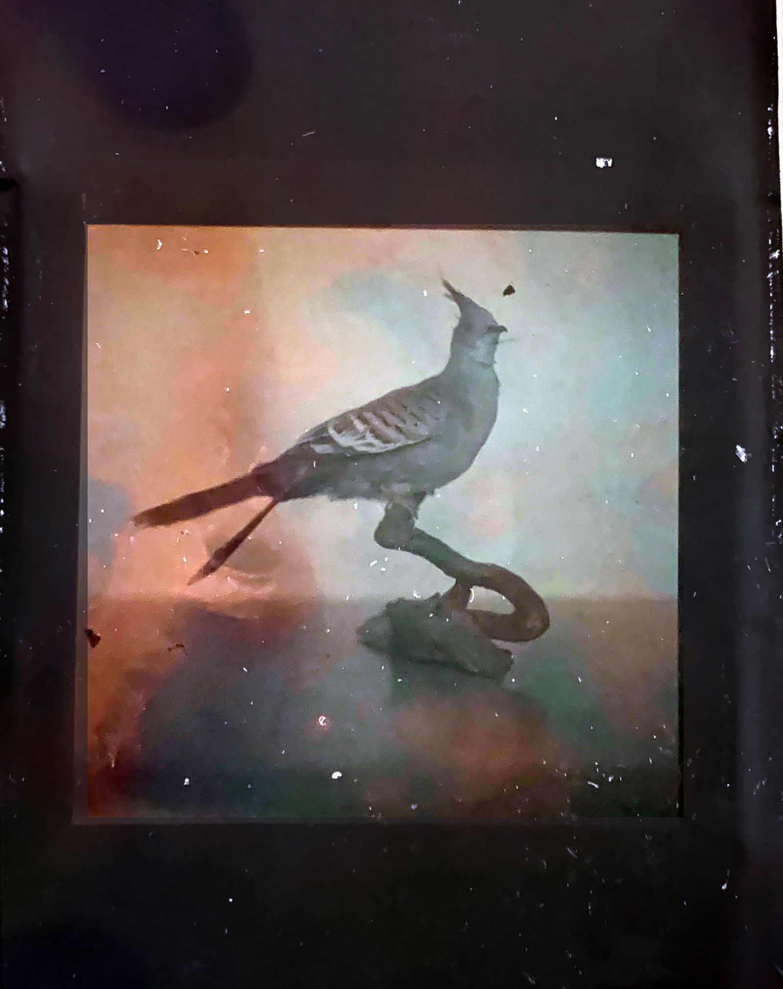 © Laura Pannack - Image from the Chapter 2- Tales from The Dübener Heide photography project