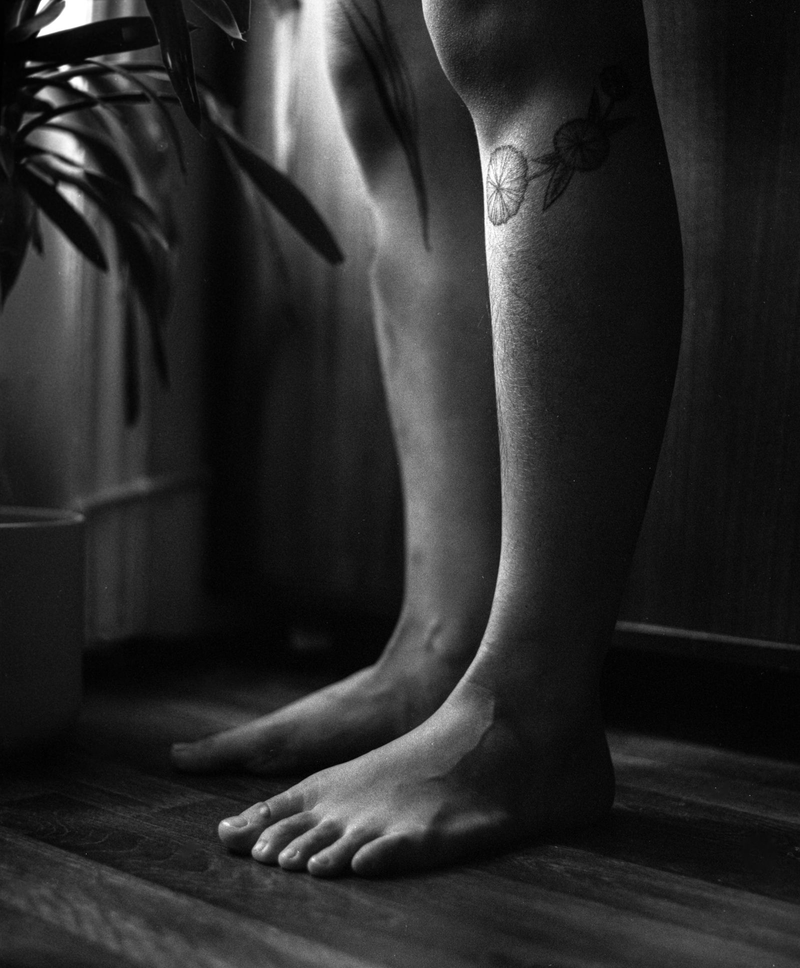 © Dasha Lazo - Image from the Corpus photography project