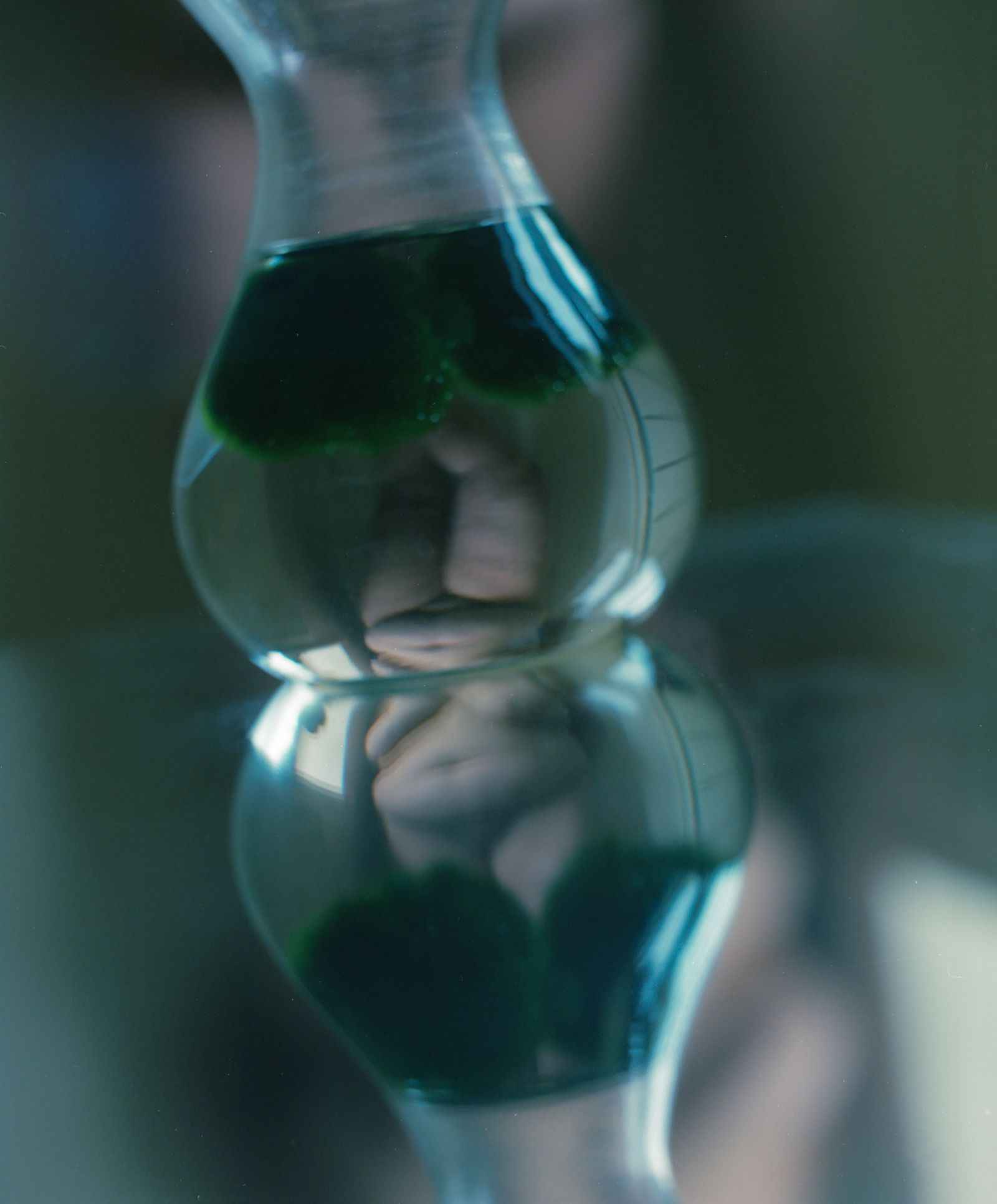 © Dasha Lazo - Image from the Corpus photography project