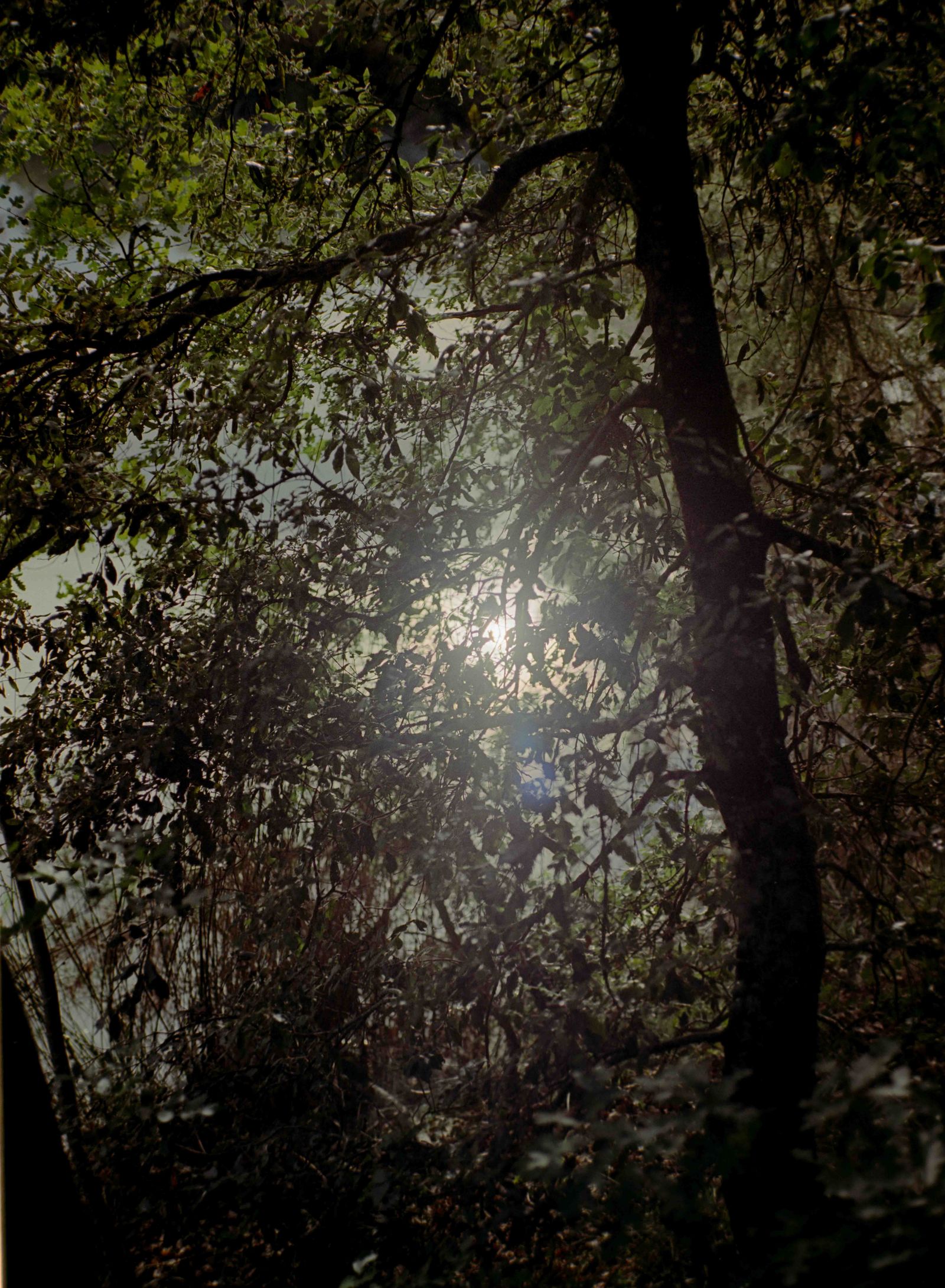 © Giovanni Giusti - Image from the Il lago photography project
