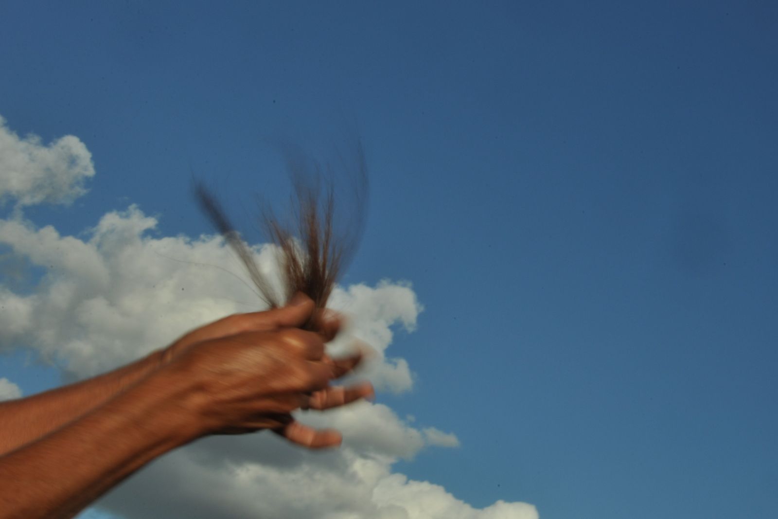 © Michelle Bastos - Image from the F.Ilha photography project