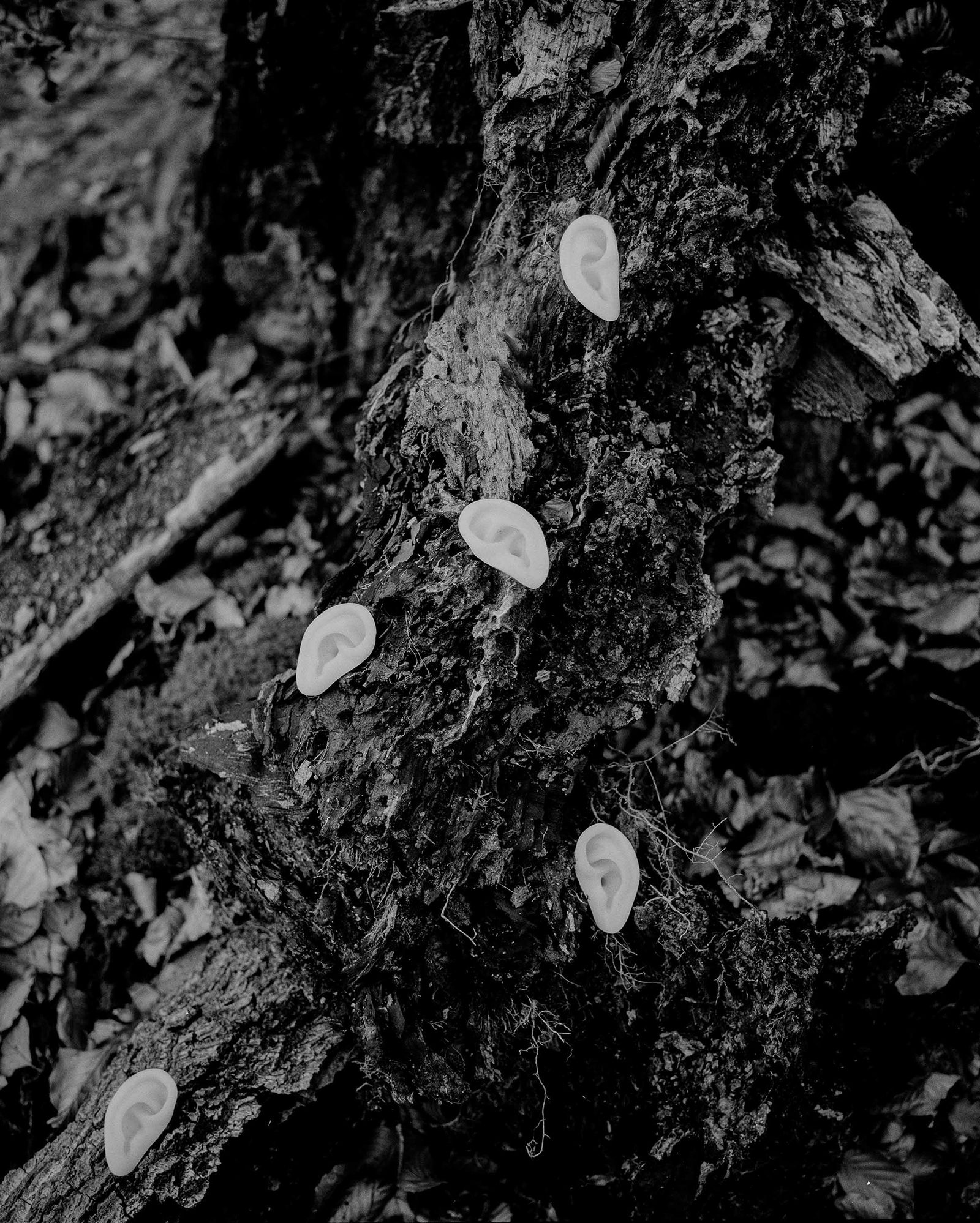 © Yiming Zhu - Image from the Summoning photography project