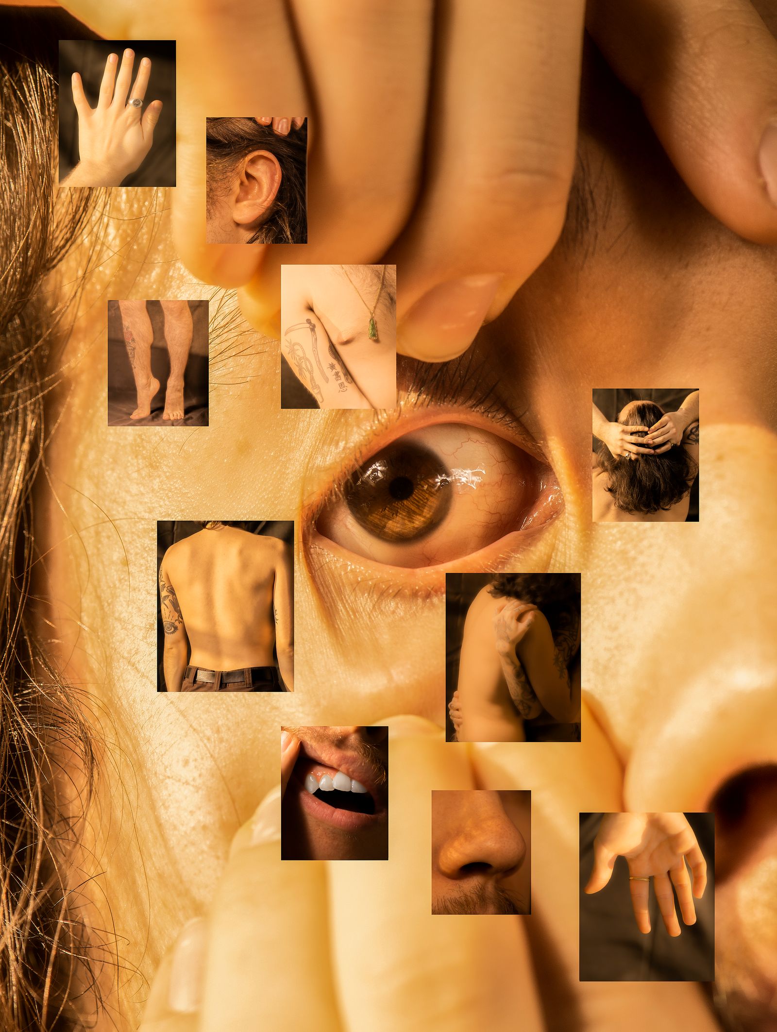 © Jesse Ly - observe