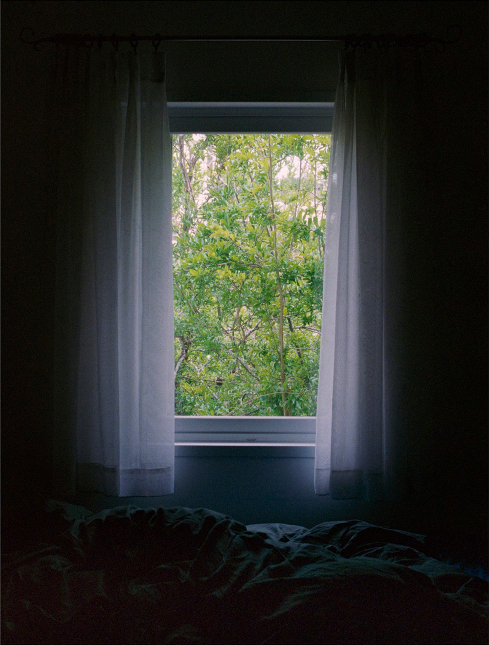 © Doron Oved - My window, 2014
