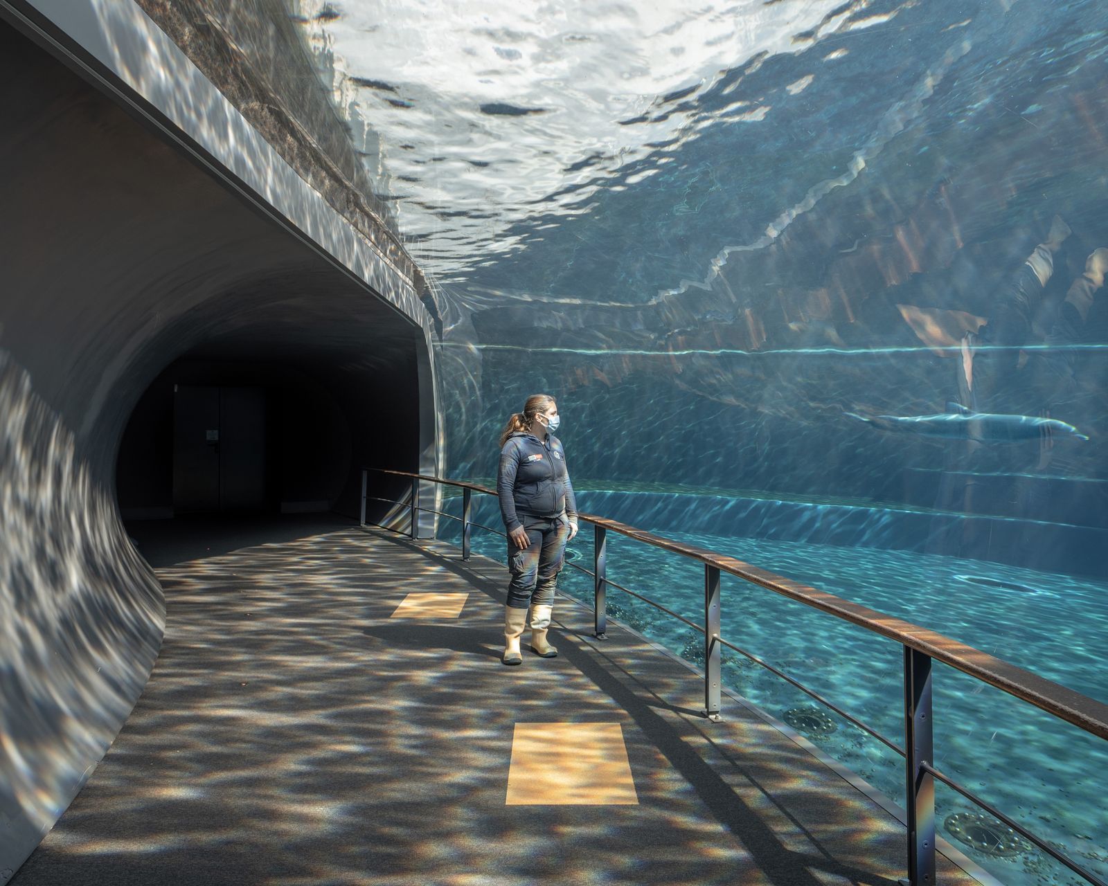 © Annalaura Cattelan - 11 - Erika, keeper in charge of the dolphin tank, watches Goccia swim calmly (Aquarium of Genoa)