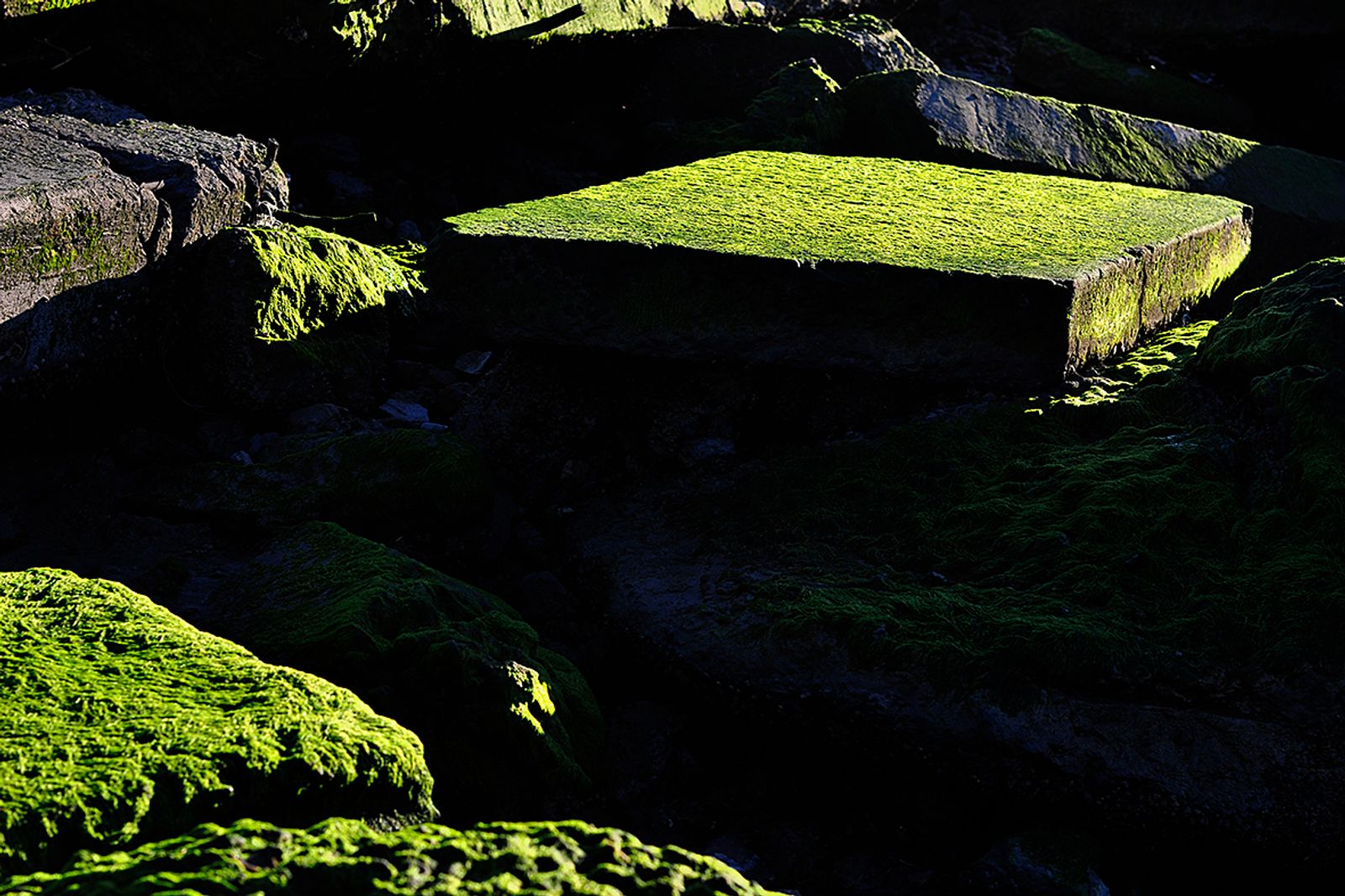 © Horacio Culaciatti - Image from the Gabinete de objetos hallados. photography project