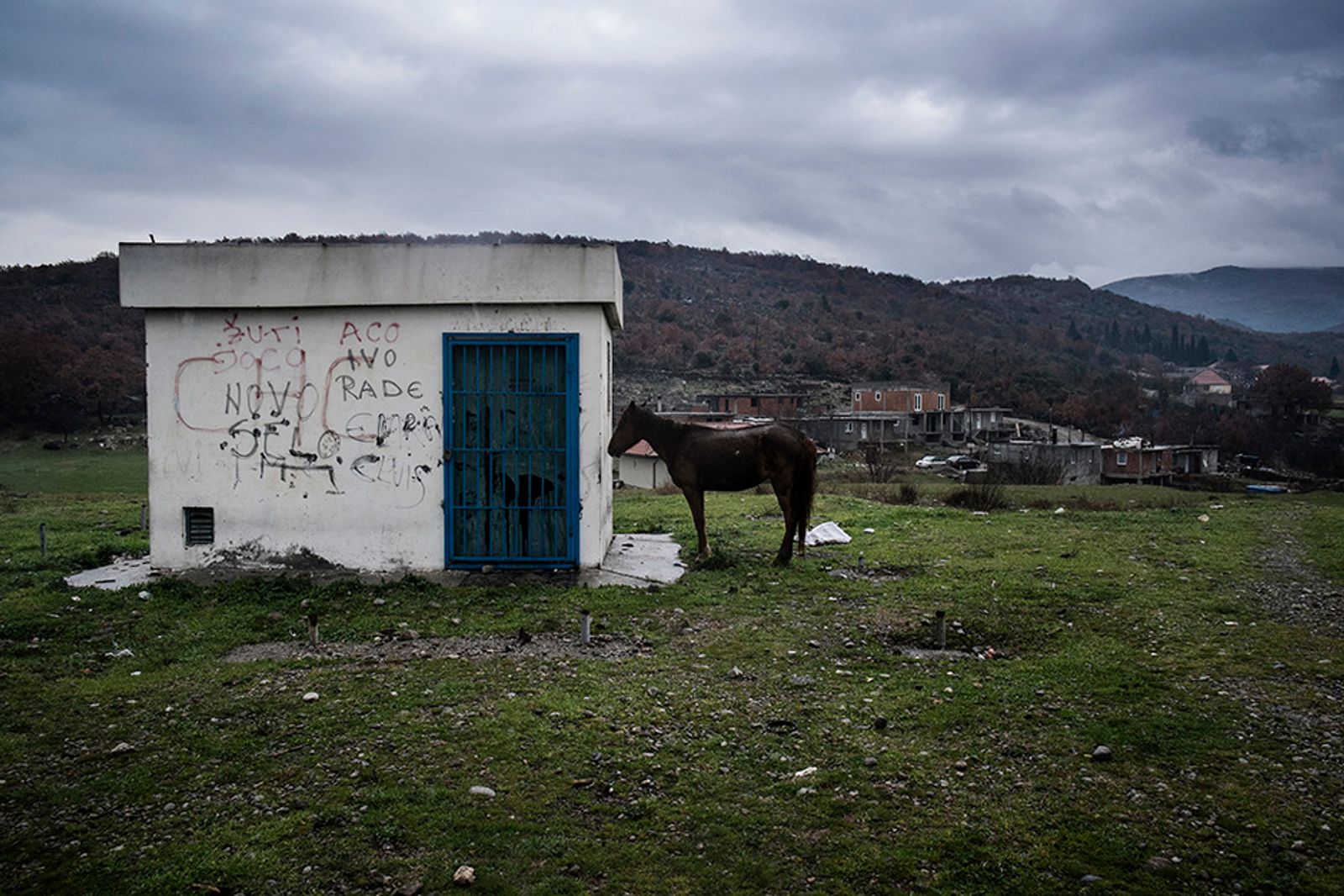 © Gianmarco Maraviglia - Camp Konic, Podgorica, Montenegro. A horse in the neighbourhood of the camp.