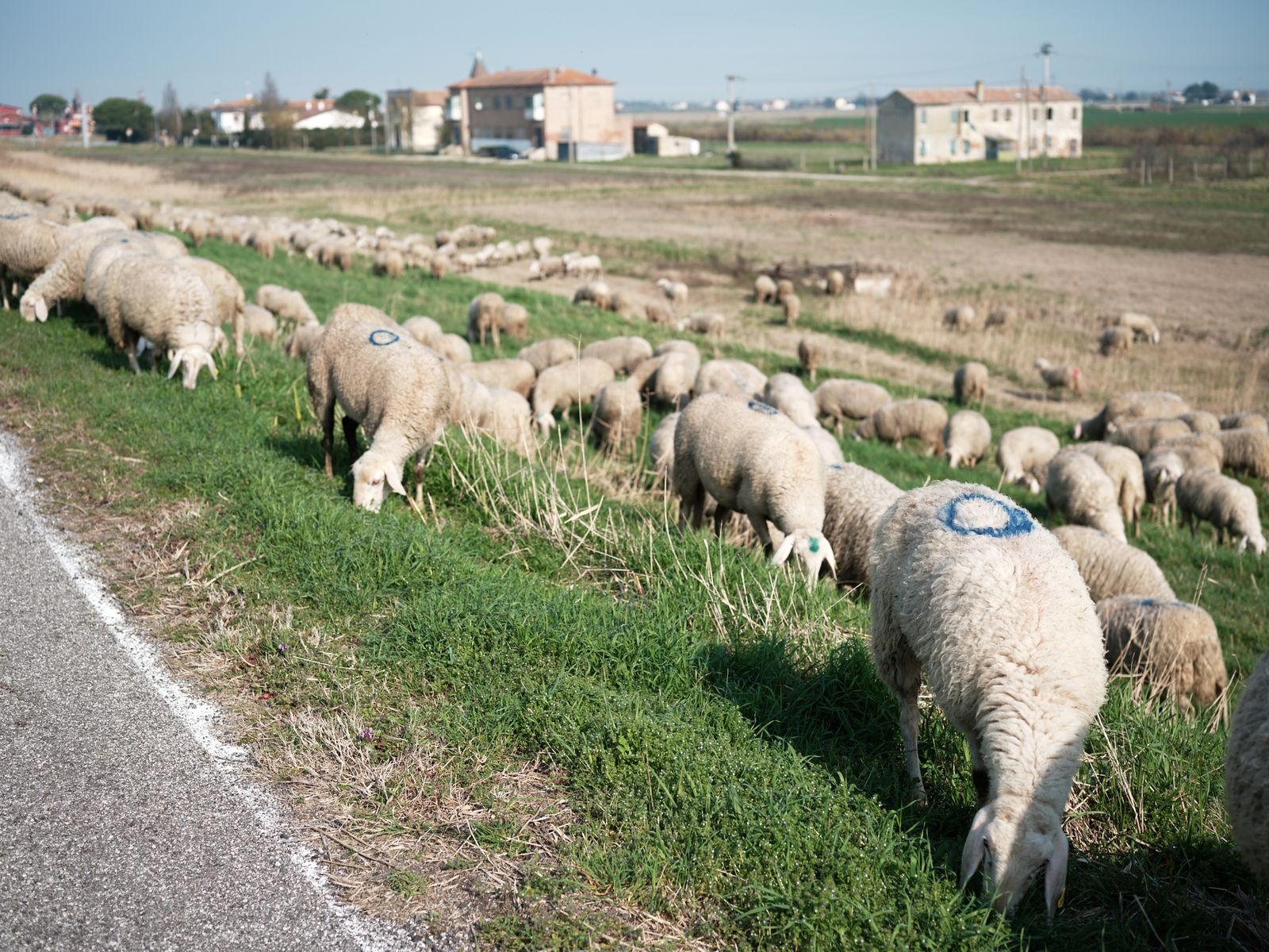 © Federico Possati - Image from the The Archeological Bazaar photography project