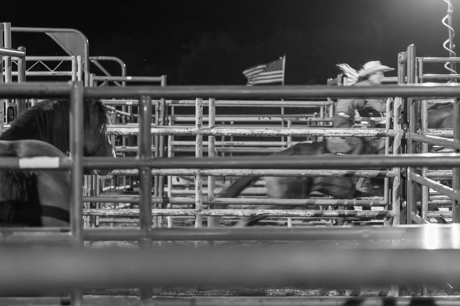 © Rian Nelson - A barrel racer, shoots out into the arena.