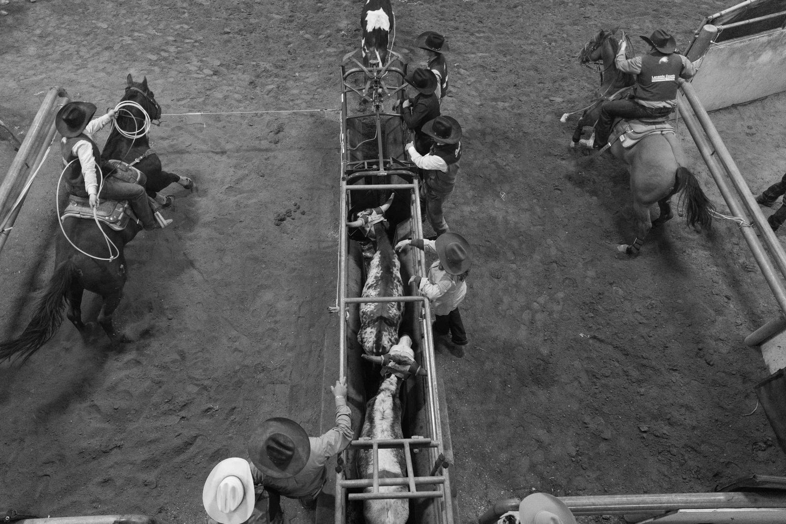 © Rian Nelson - A pair of cowboys race after a pre-released steer