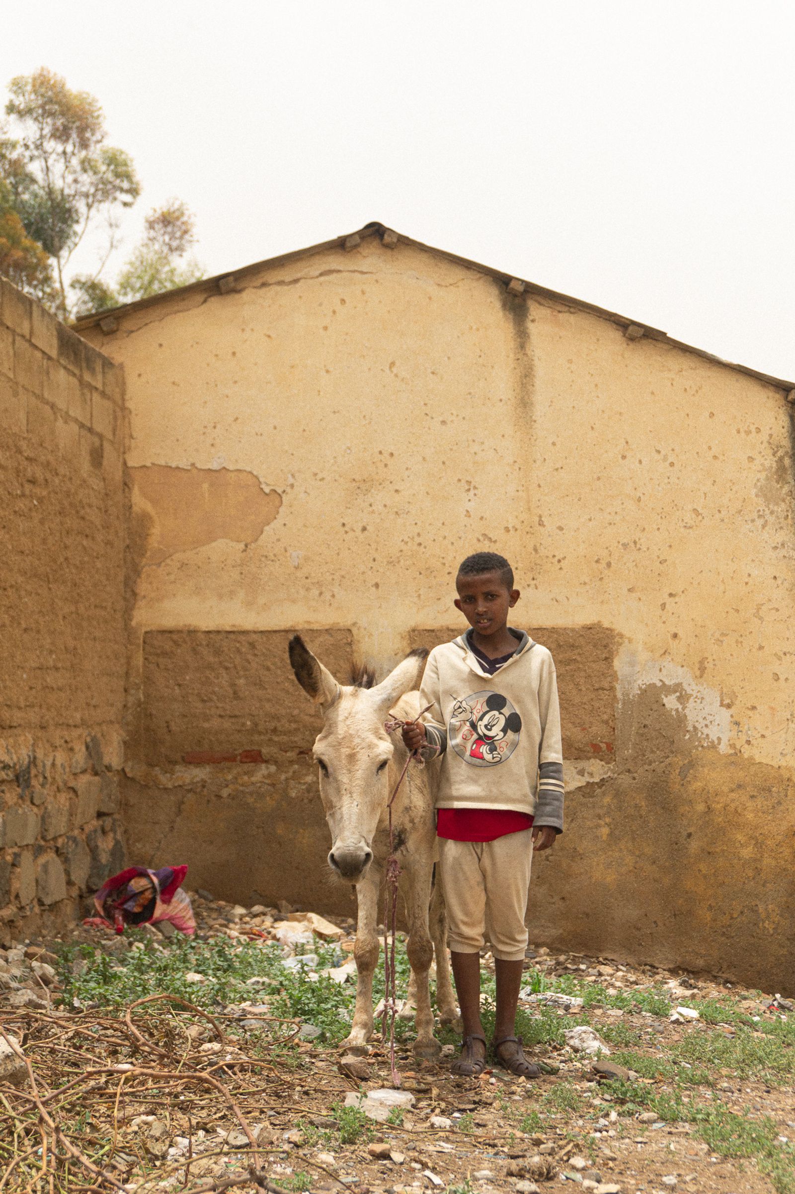 © Akberet Johanna Ghebray - Asmara / Eritrea - random boy who wanted to take a picture with a donkey
