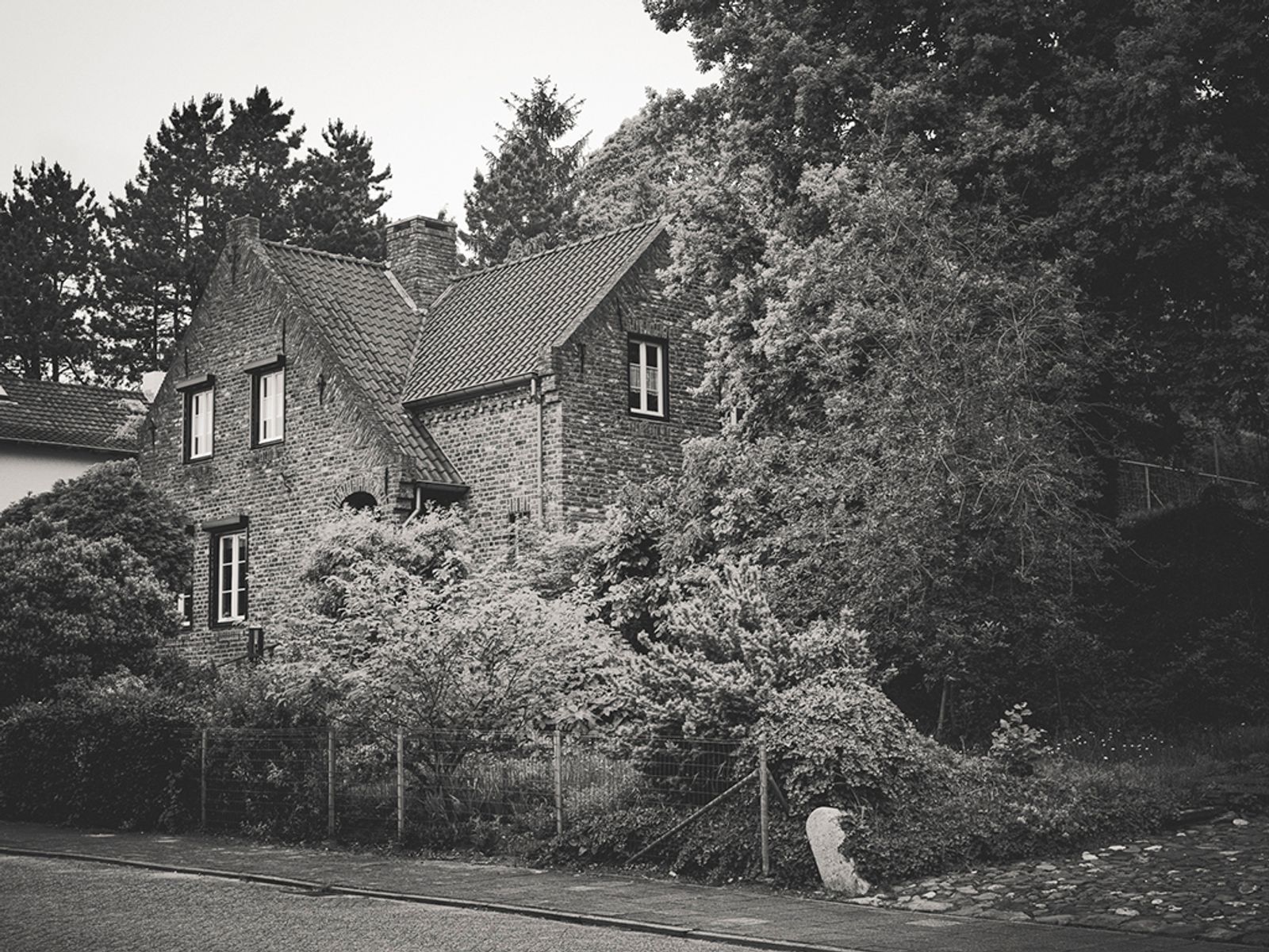 © Robin Butter - Image from the Dragonblood photography project
