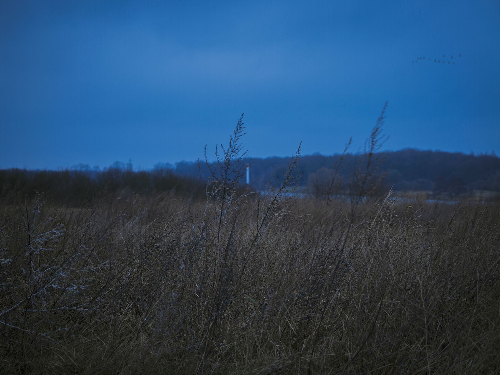 © Robin Butter - Image from the Drakeblood / Blood of the dragon photography project