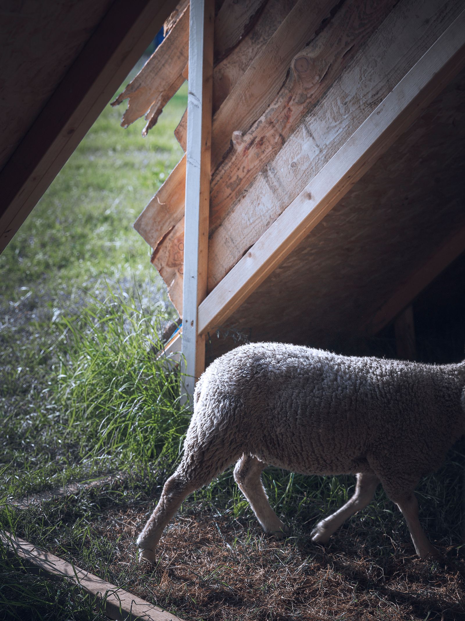 © Robin Butter - Image from the Drakeblood / Blood of the dragon photography project