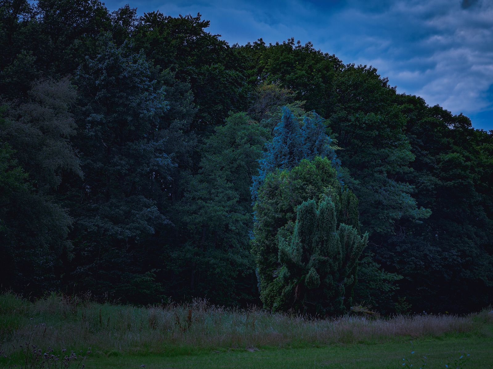 © Robin Butter - Image from the Drakeblood / Blood of the dragon photography project