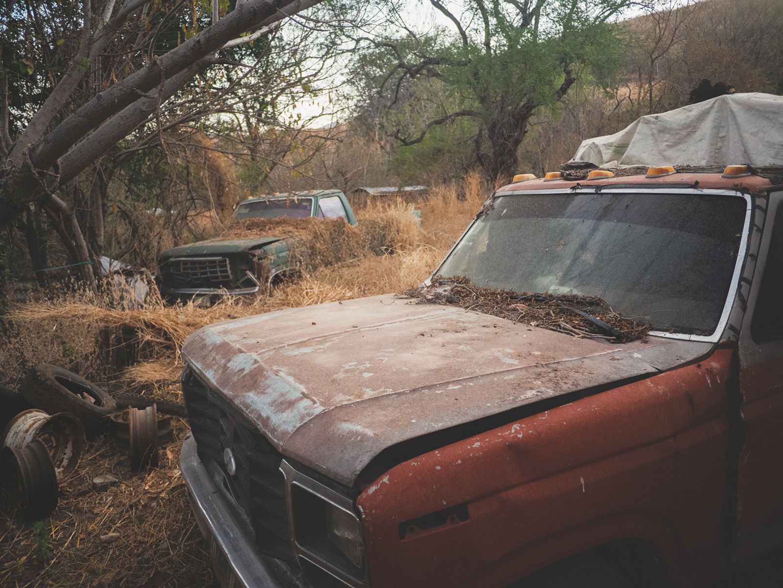 © Alfredo Bosco - Mexico; Guerrero; Santa Maria de las Suarez; 2018 Abandoned cars in Santa Maria de las Suarez.