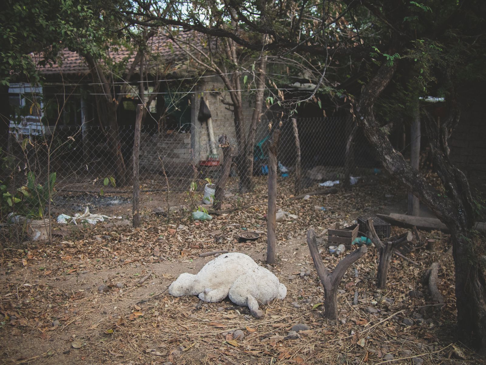© Alfredo Bosco - Mexico; Guerrero; La Agavia; 2018 An abandoned toy in the ghost town of La Agavia.