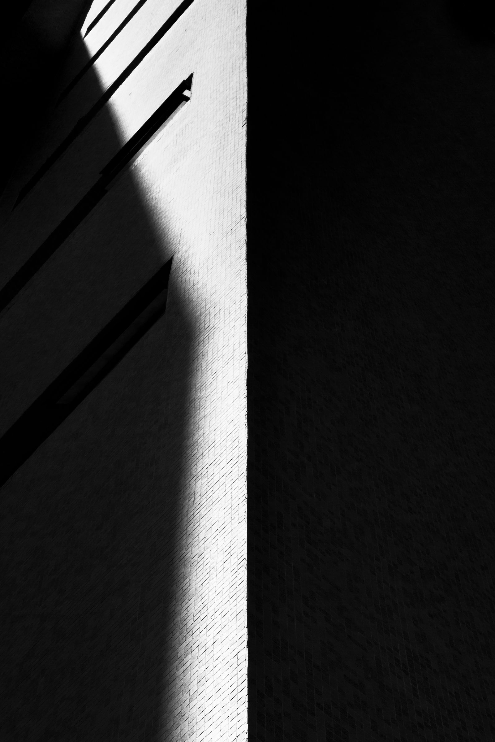 Lines of Shadow - PhMuseum