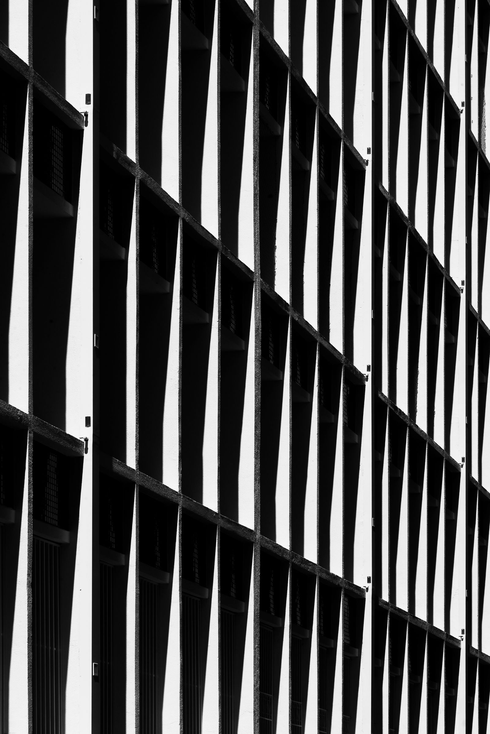 Lines of Shadow - PhMuseum