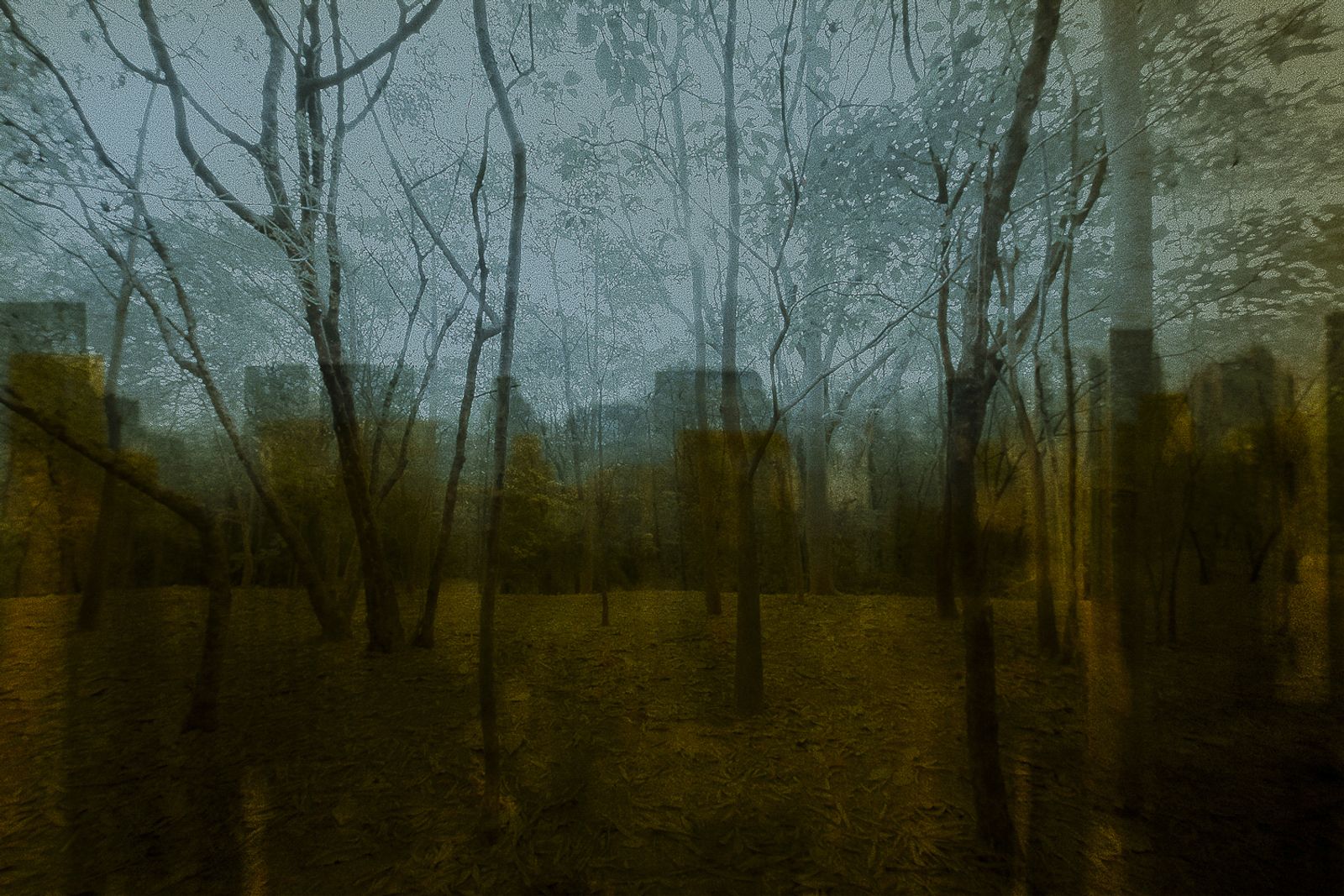 Invisible Cities - PhMuseum