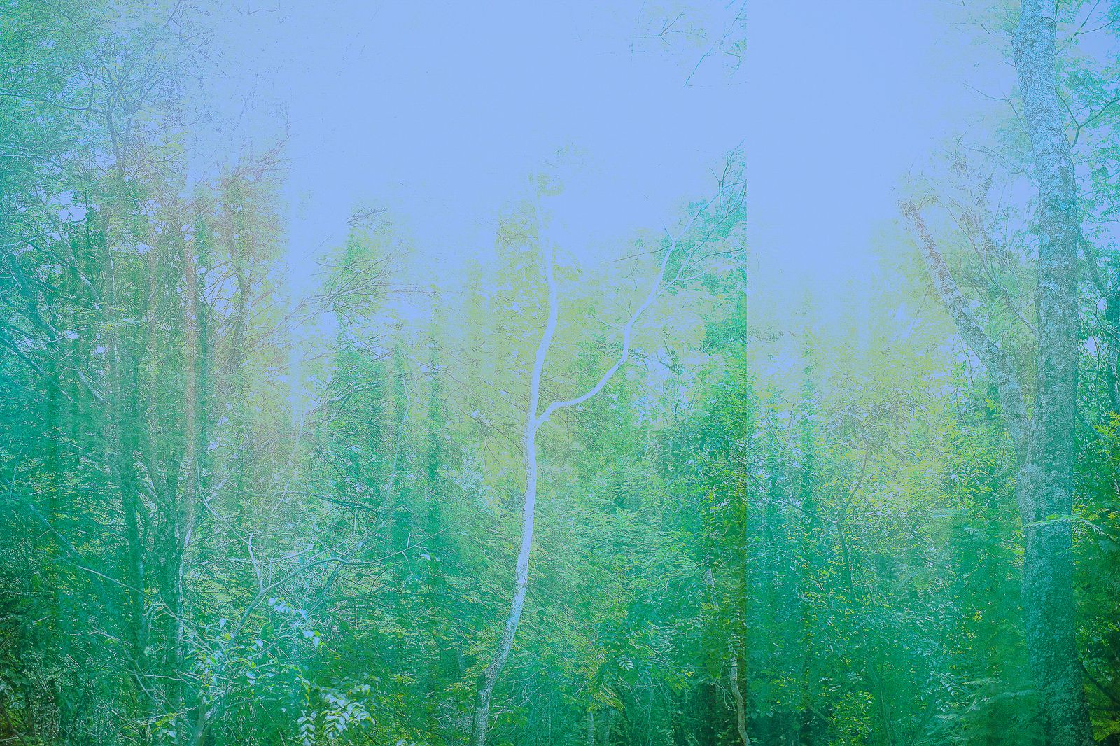 © José Roberto Bassul - Image from the Invisible Cities photography project