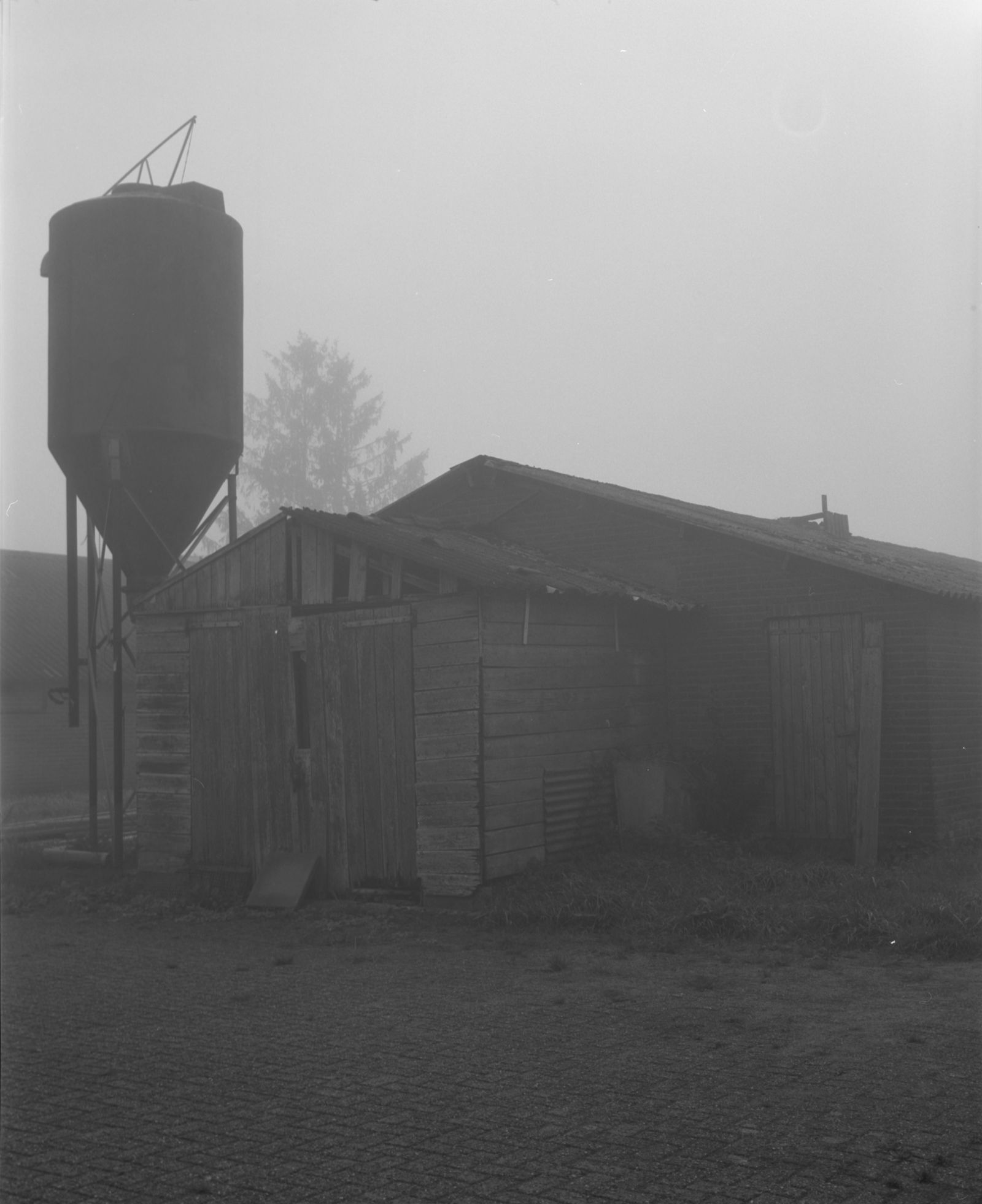 © Farren van Wyk - Mist