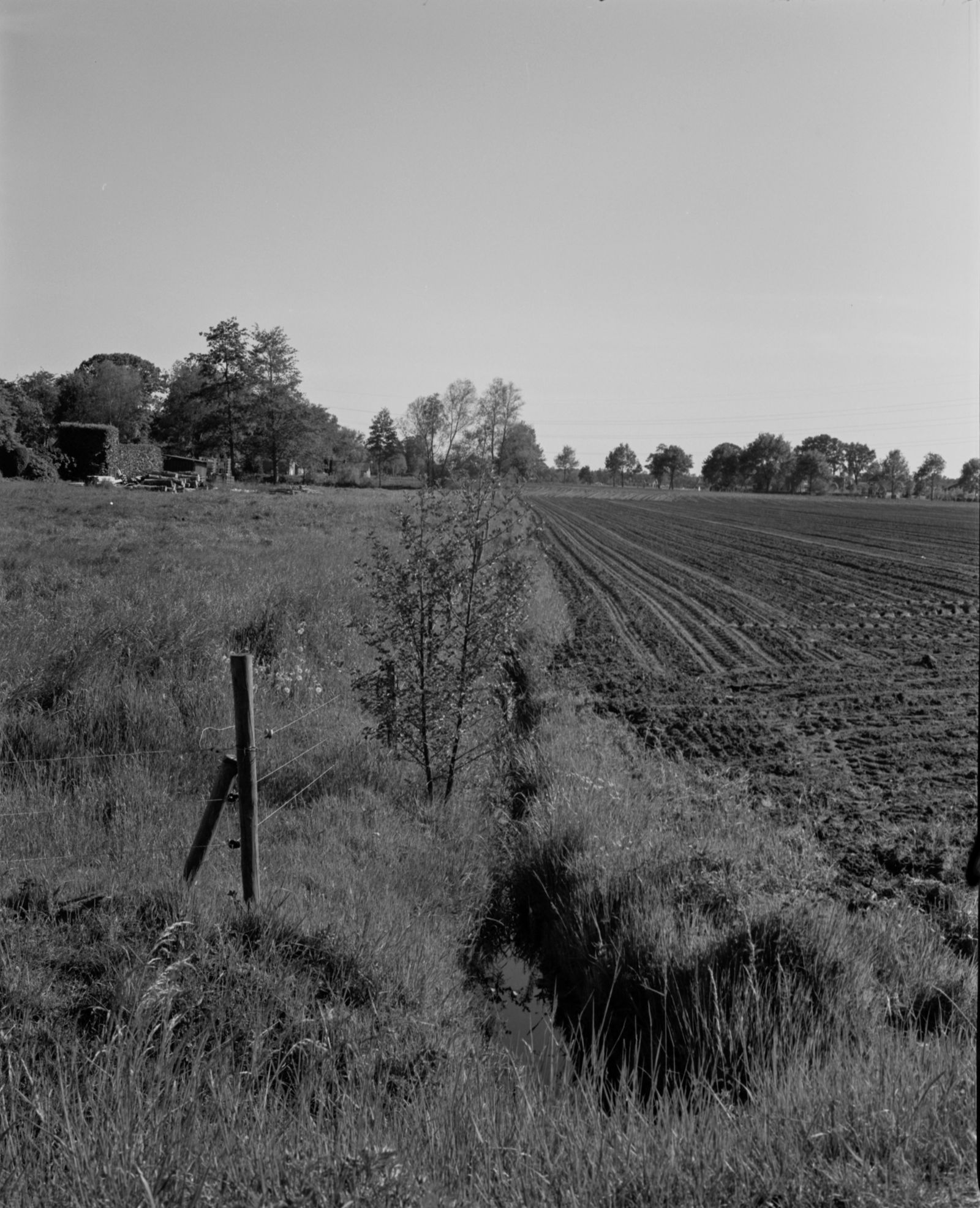 © Farren van Wyk - Field